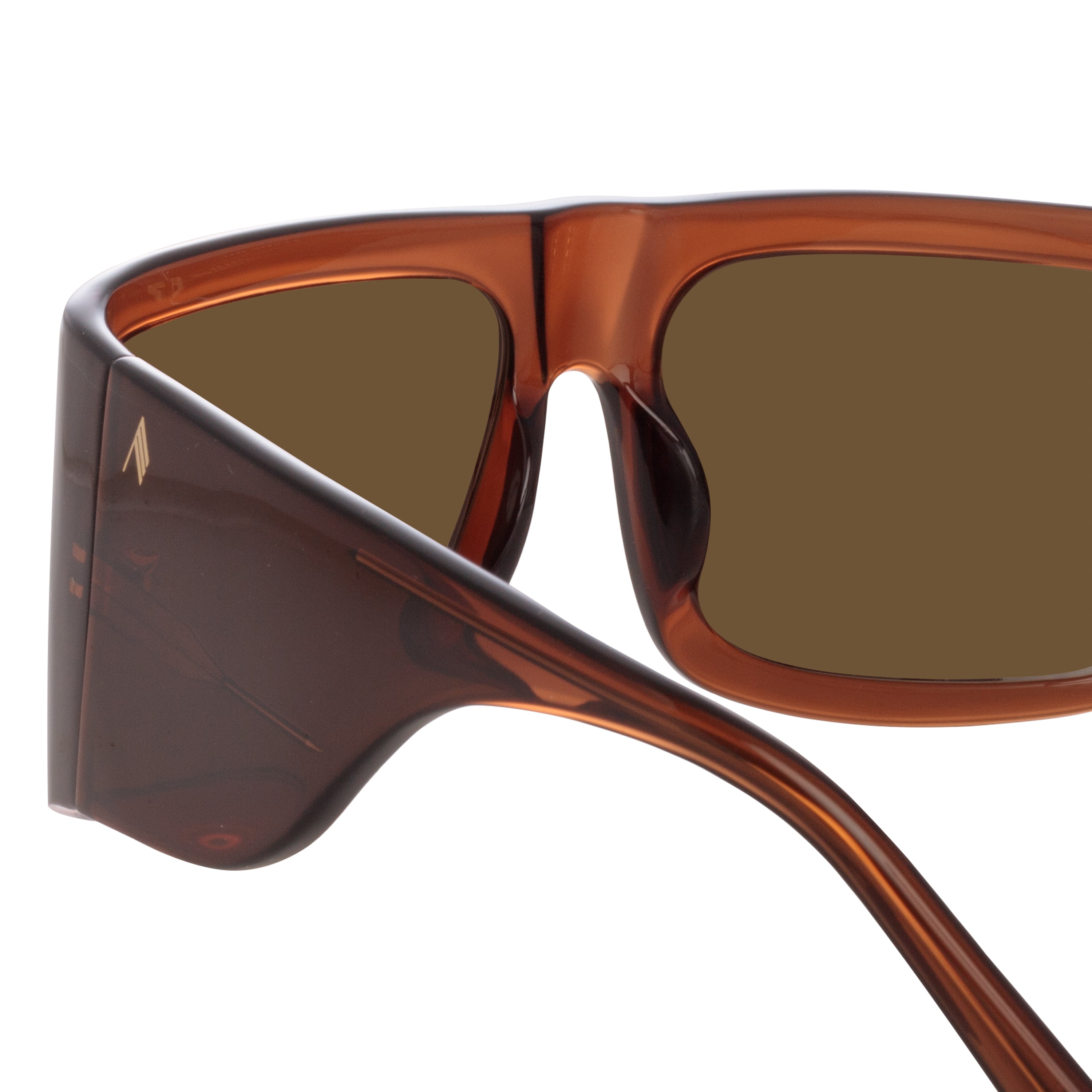 Andre Oversized Sunglasses in Brown
