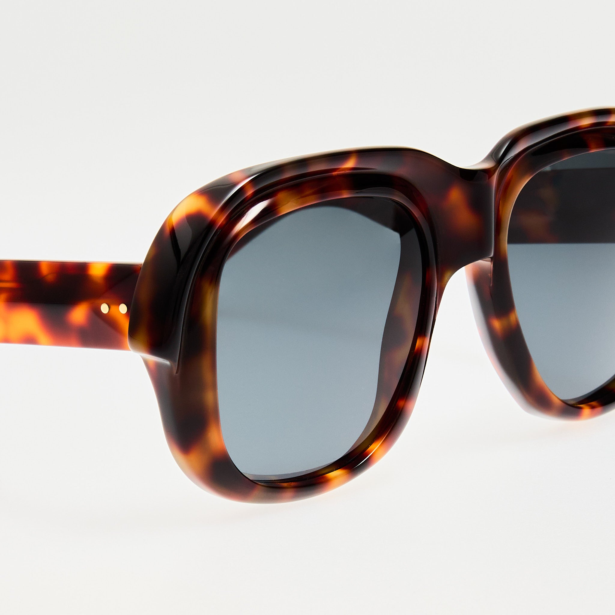 Oversize Sunglasses in Tortoiseshell