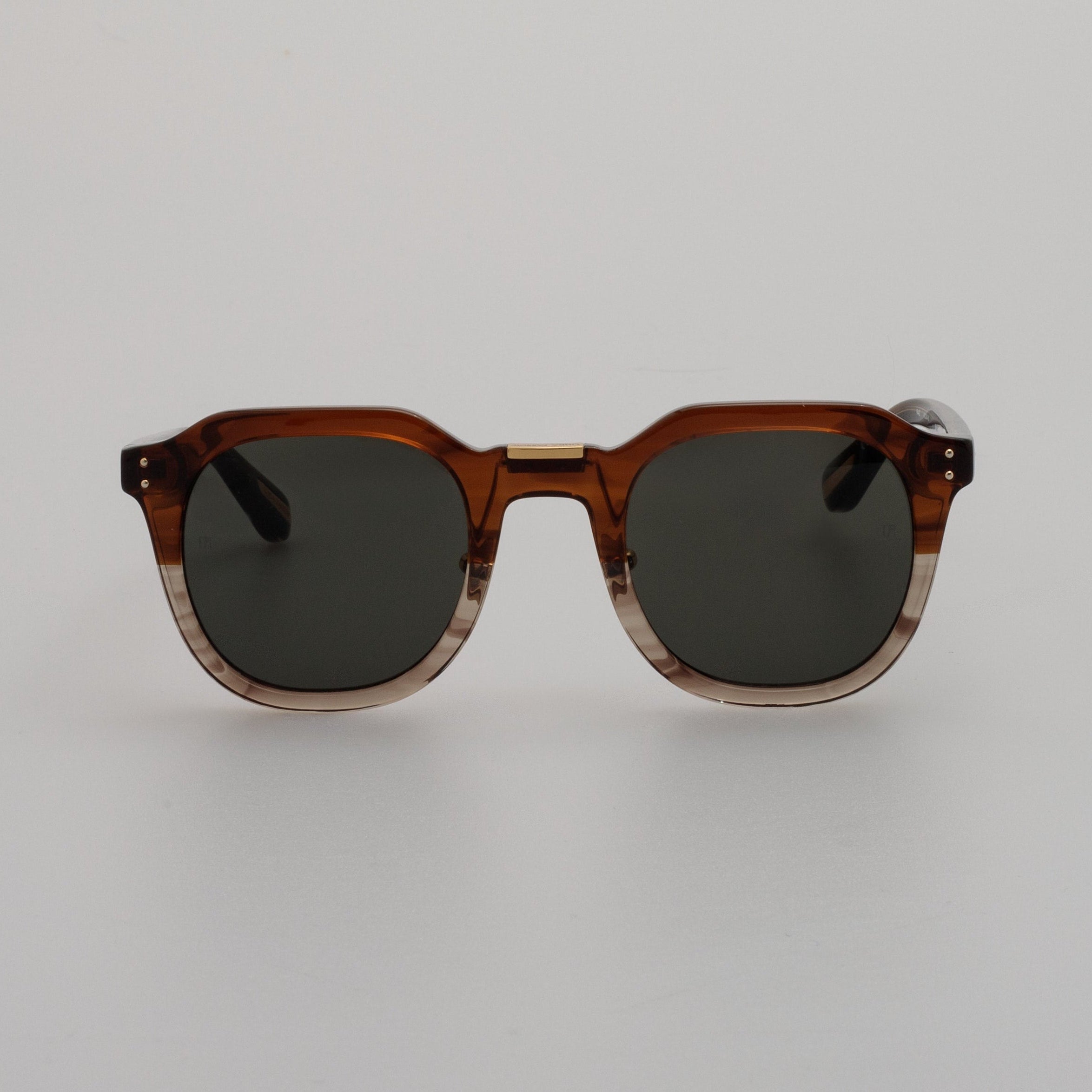 Fletcher Sunglasses in Caramel Horn