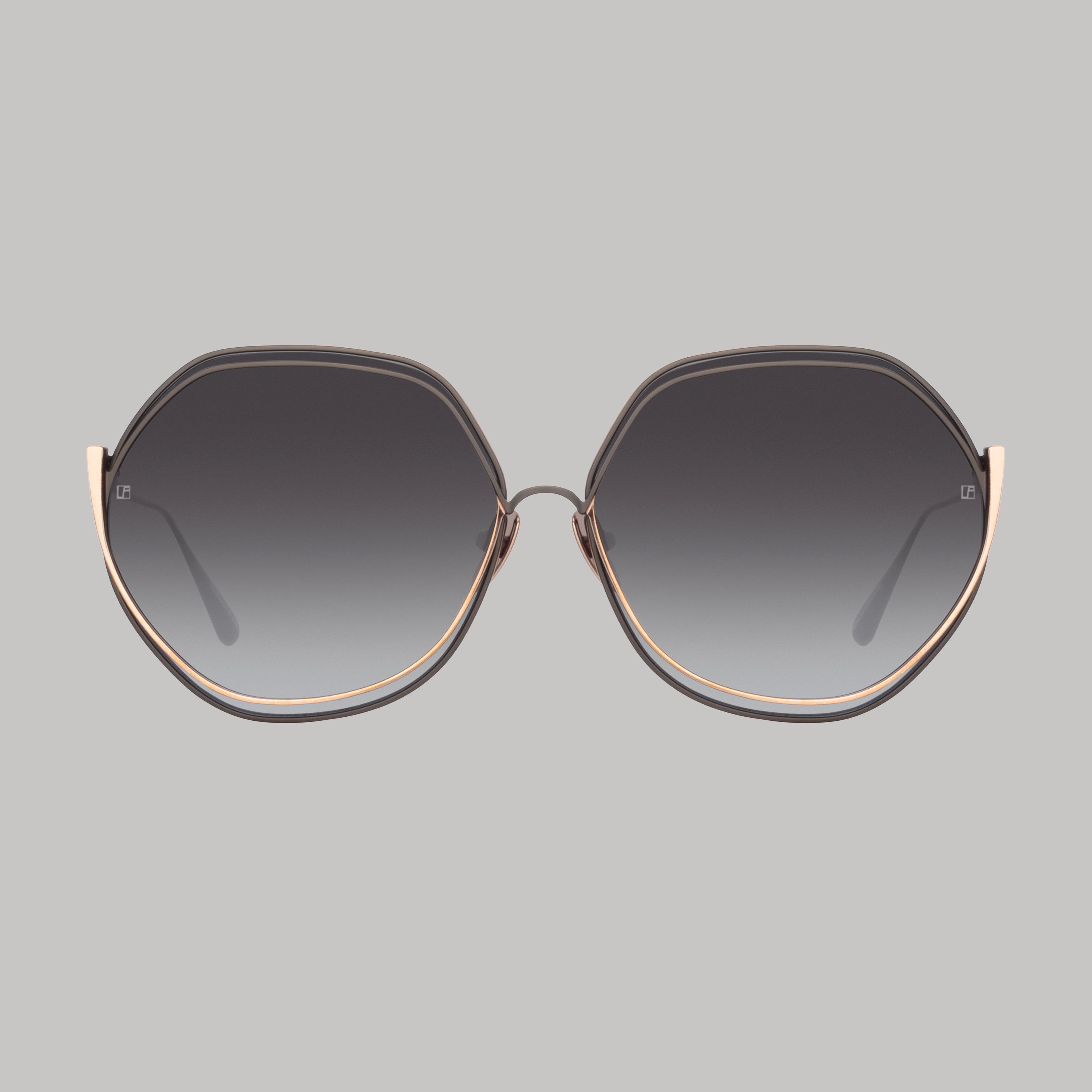 Aspen Sunglasses in Nickel