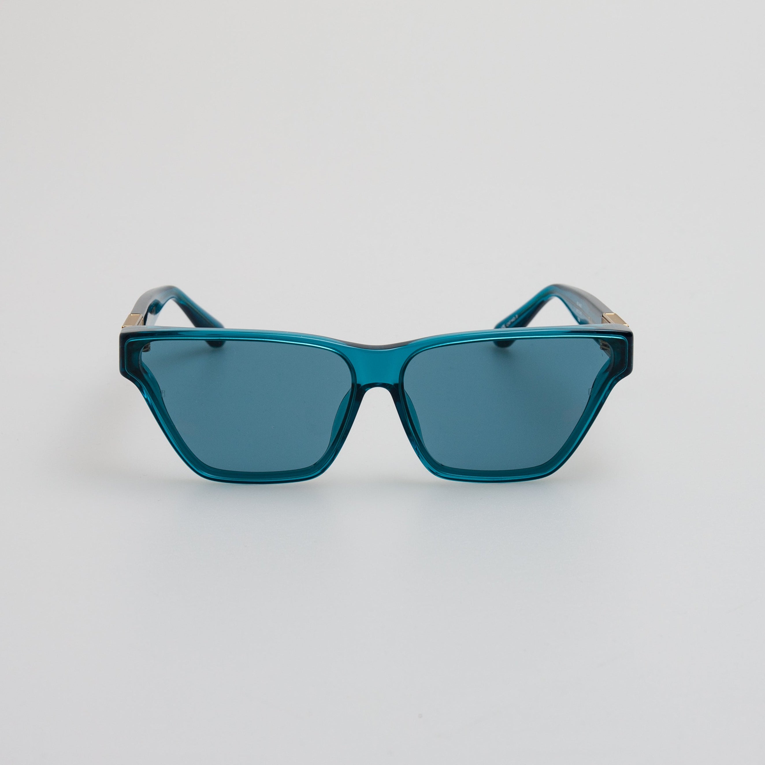 Skyler Cat-Eye Sunglasses in Aqua