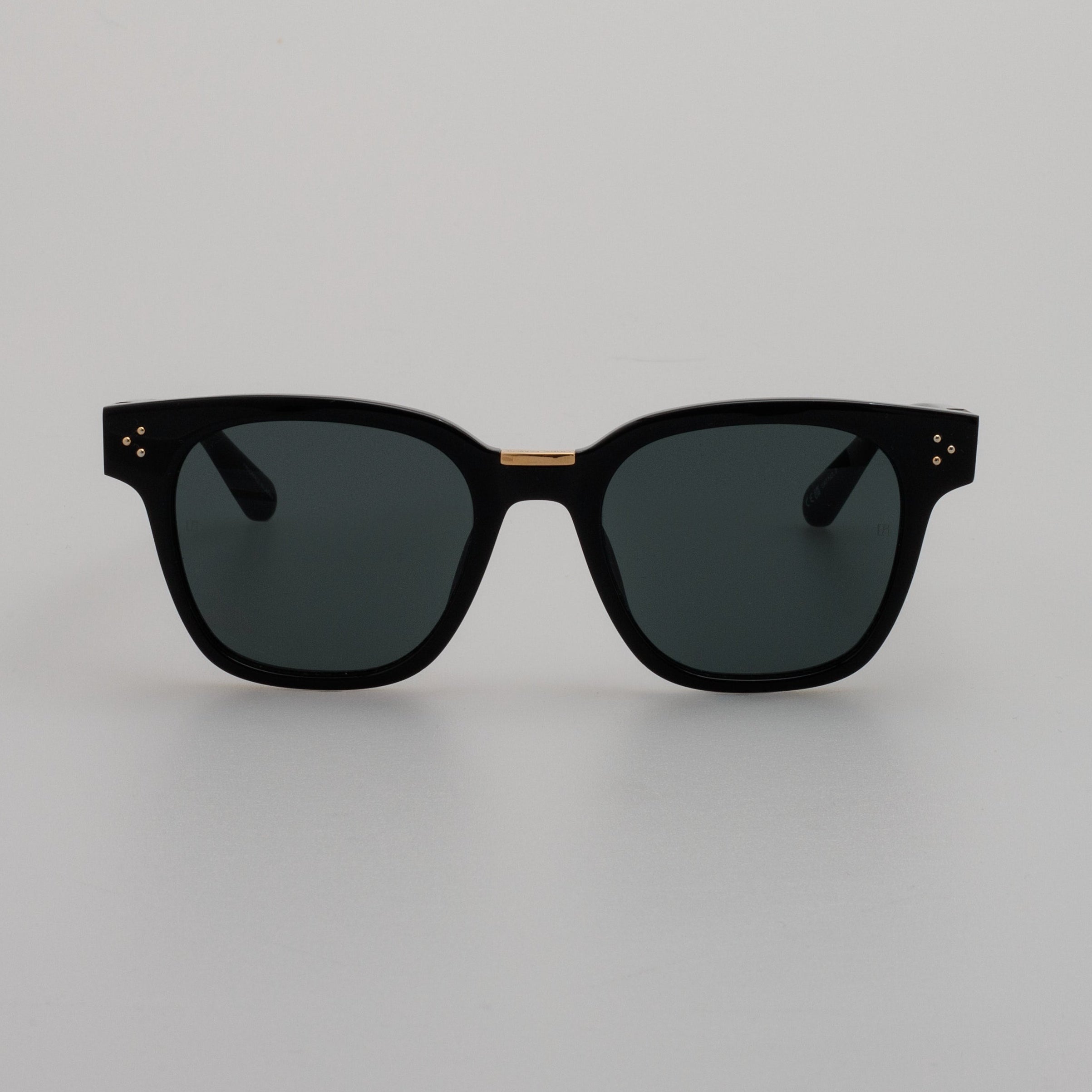 Sanchez Sunglasses in Black