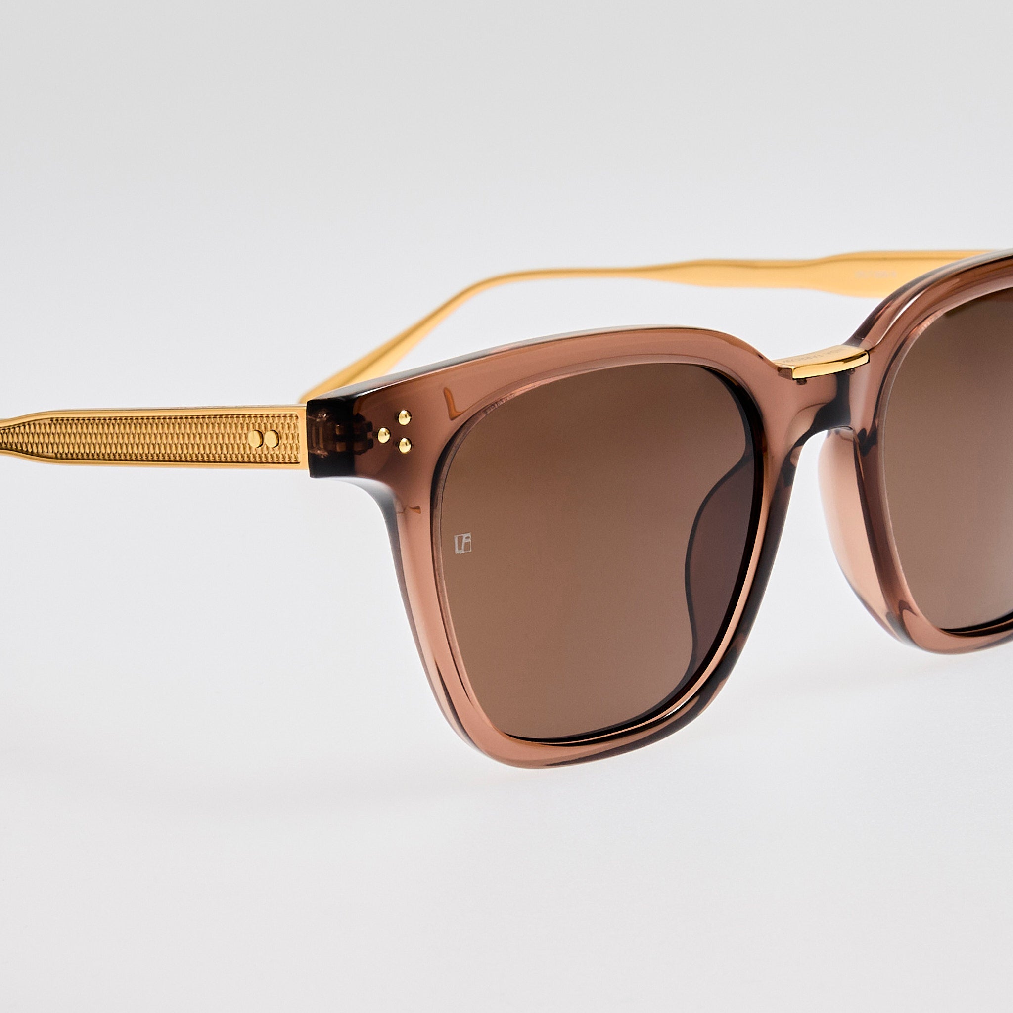Evan Sunglasses in Brown and Gold