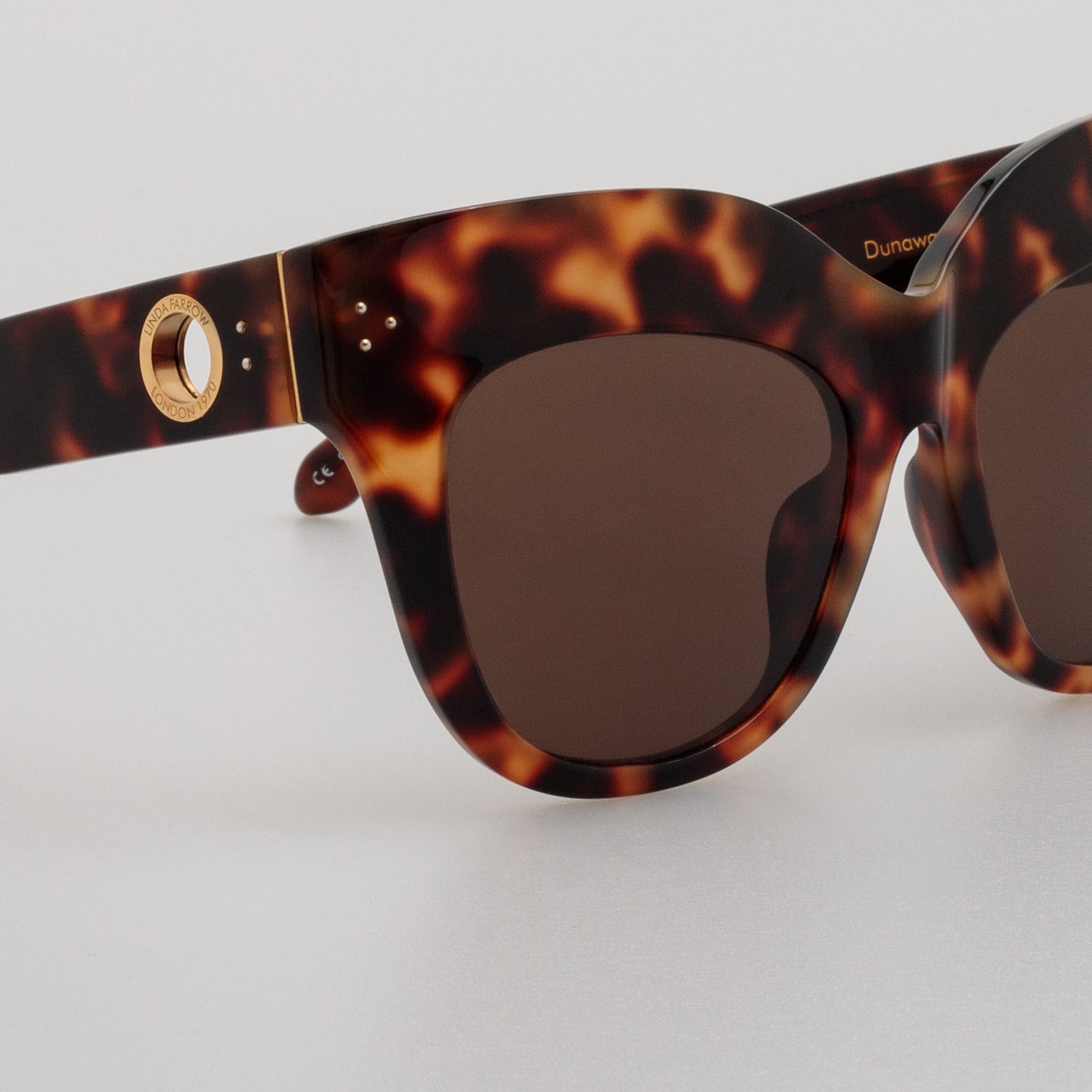 Dunaway Sunglasses in Tortoiseshell Frame