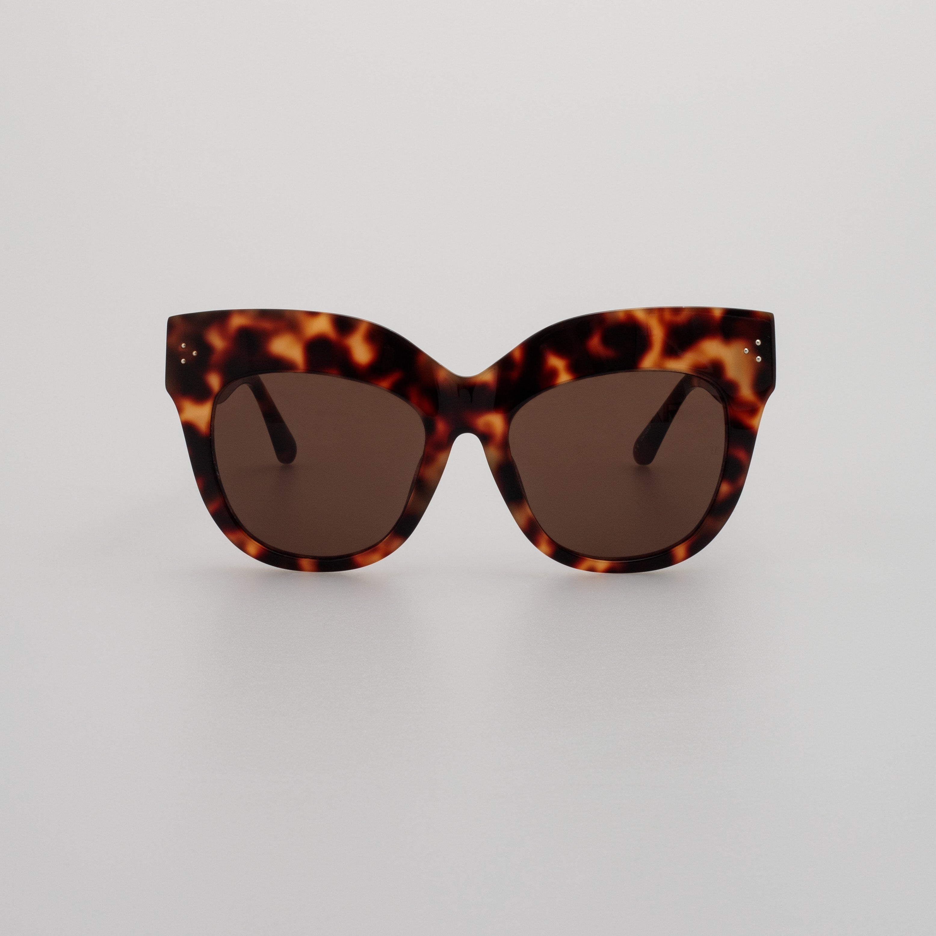 Dunaway Sunglasses in Tortoiseshell Frame