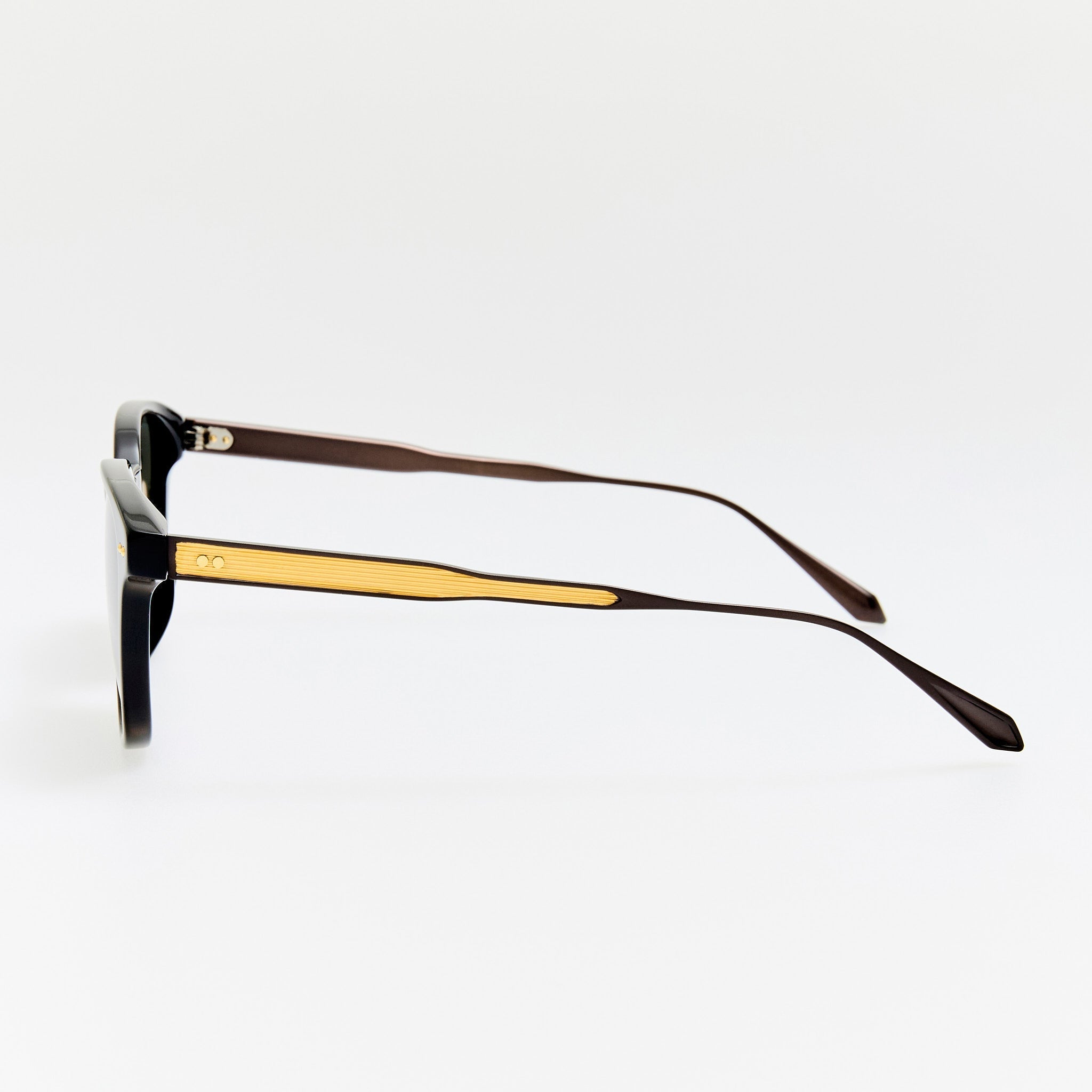 Paulson Sunglasses in Black - LINDA FARROW - Sunglasses -