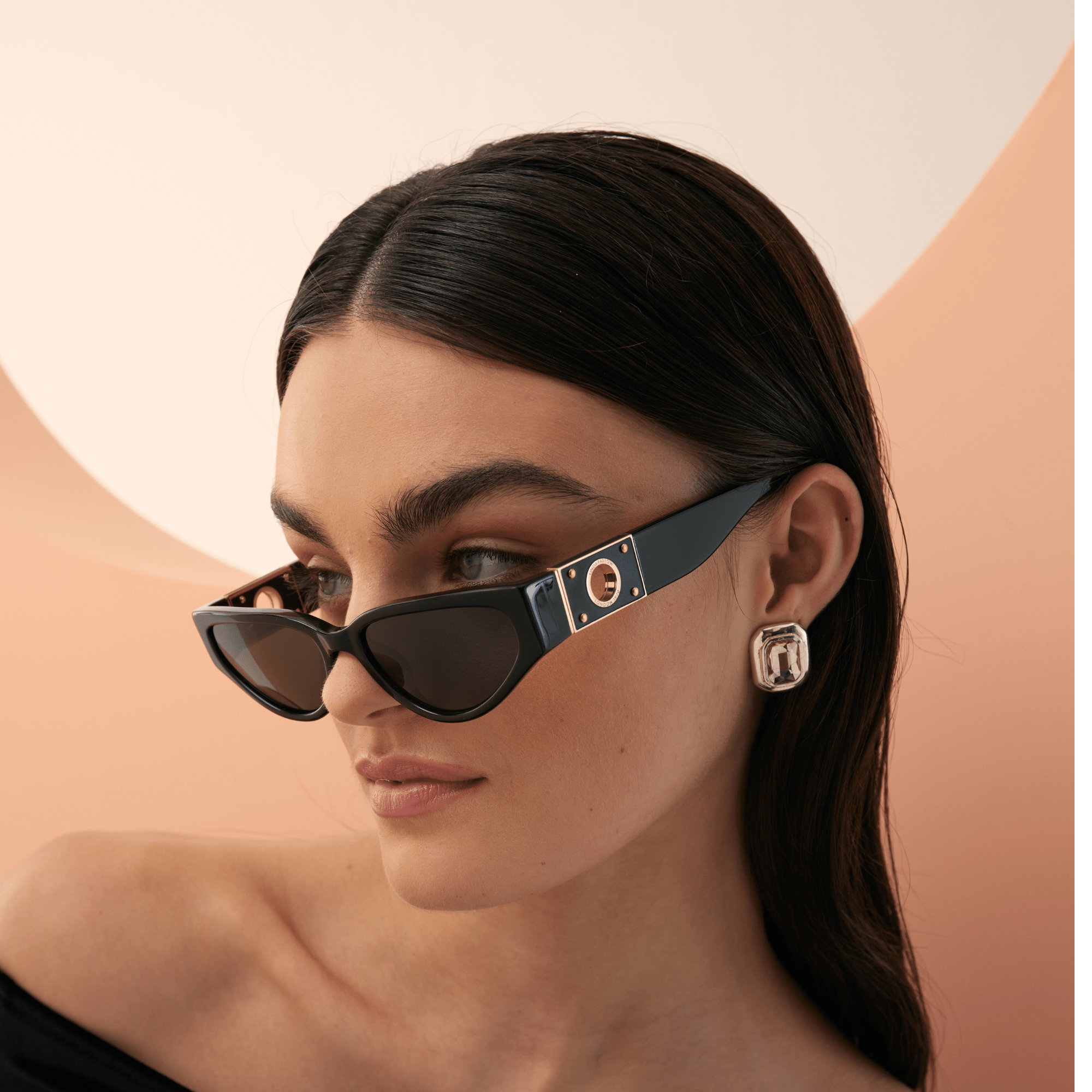 Tomie Sunglasses in Black - LINDA FARROW - Sunglasses -