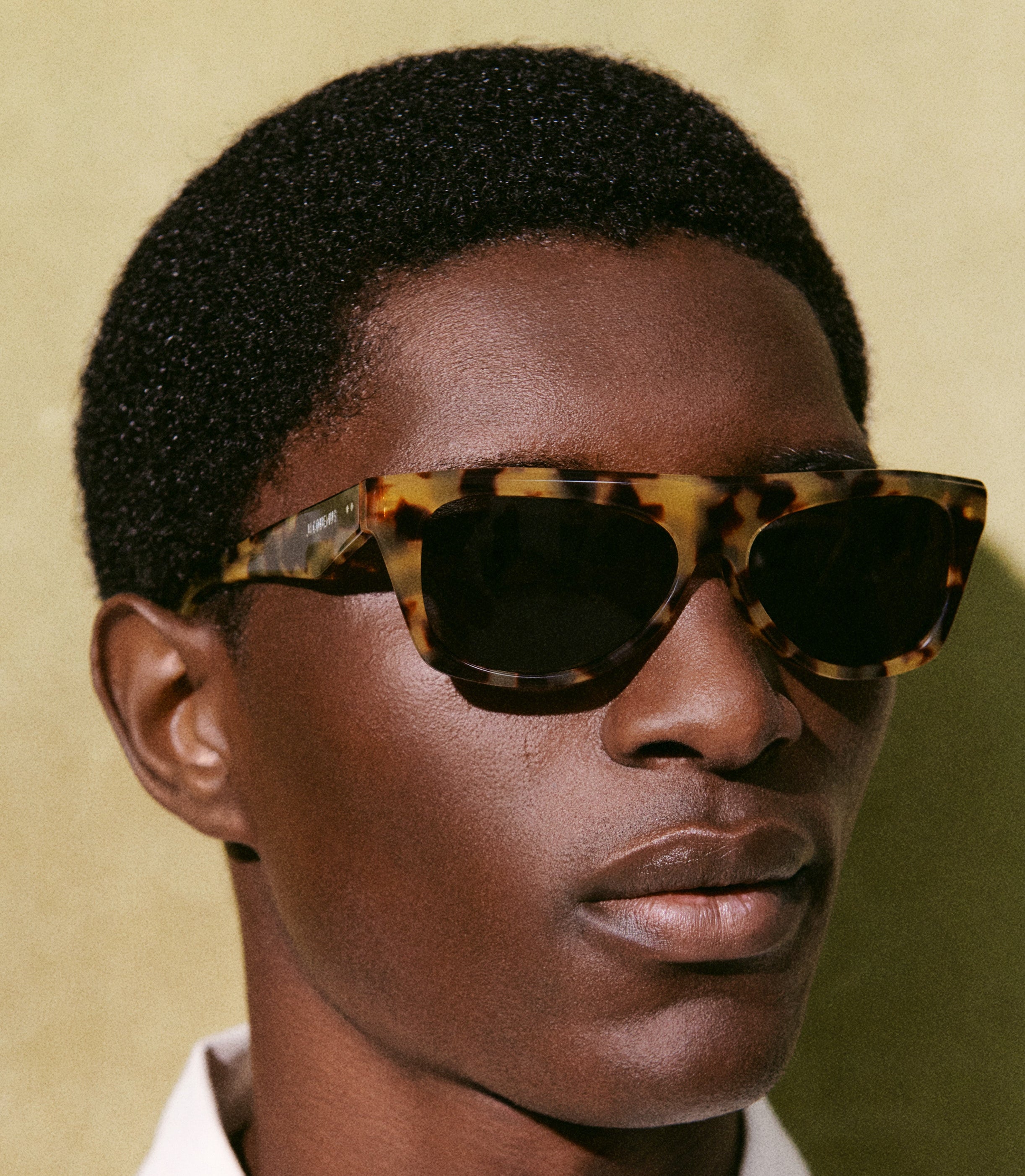 Pina Flat Top Sunglasses in Tortoiseshell