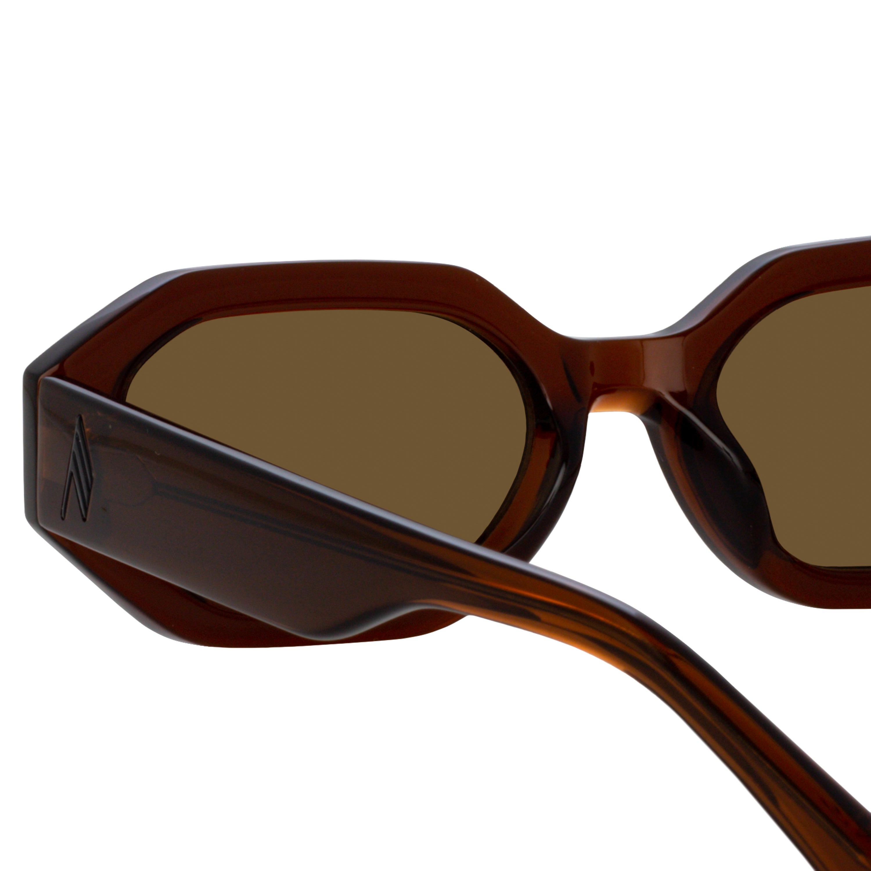 Irene Angular Sunglasses in Brown