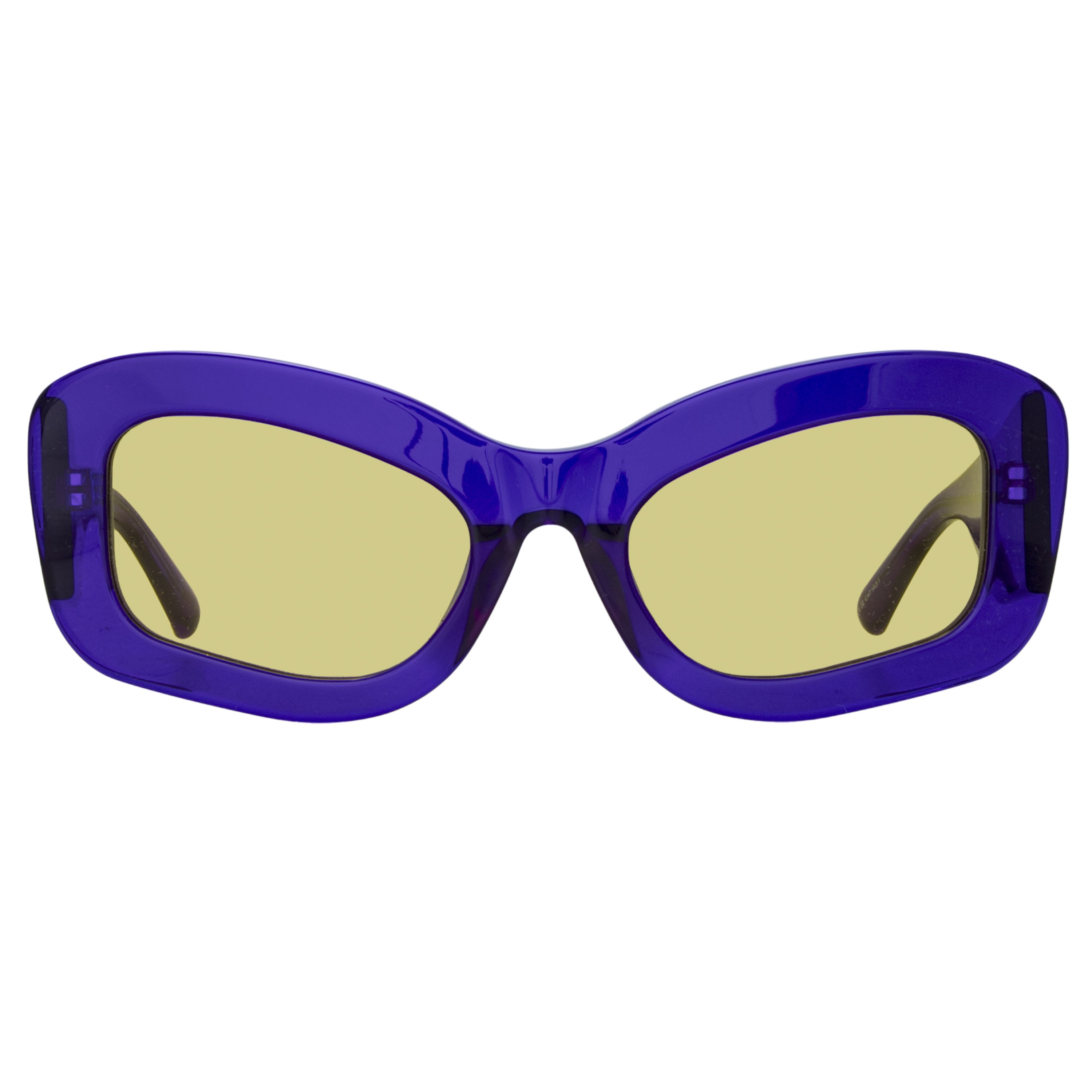 Harry Cat Eye Sunglasses in Purple