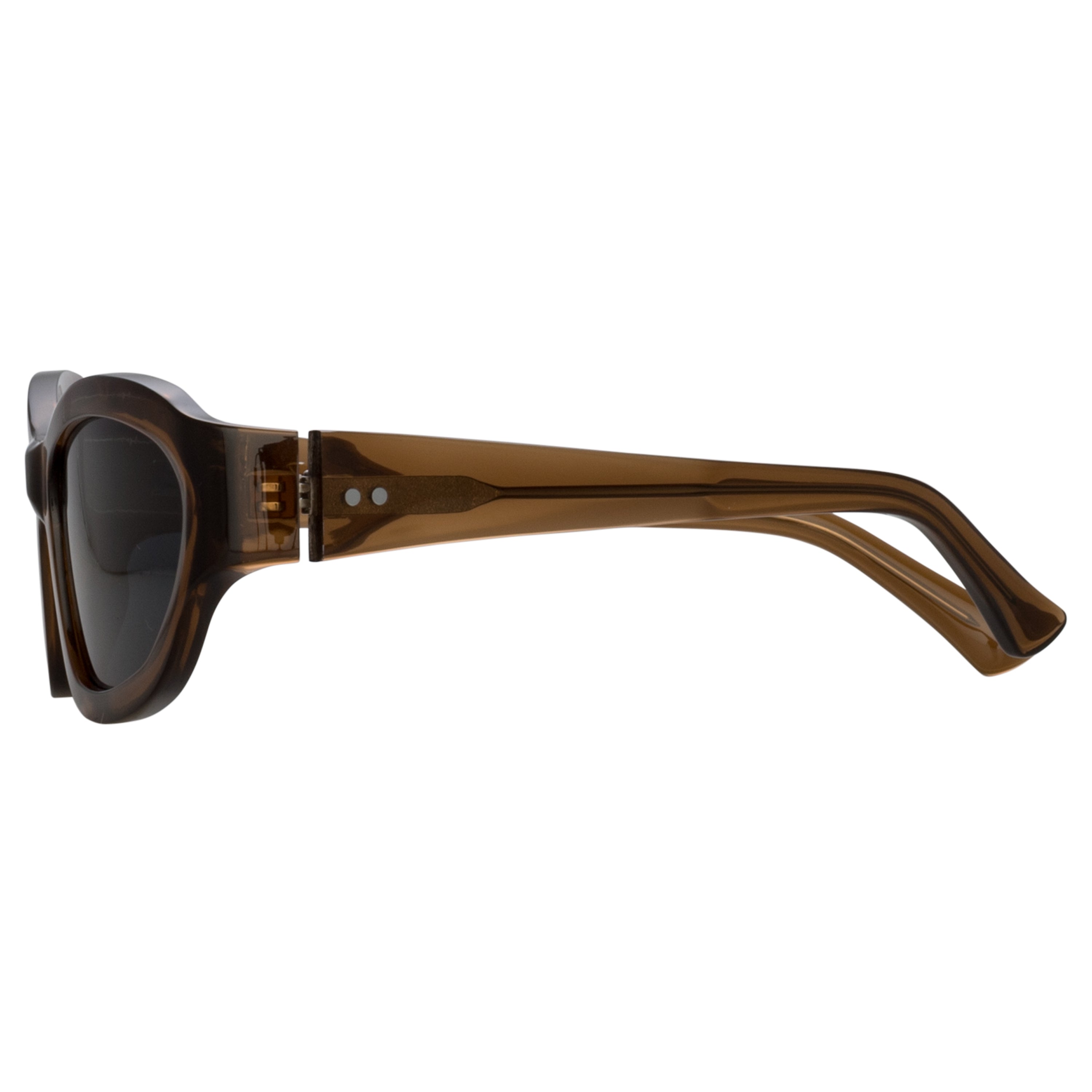 Wrap Sunglasses in Dark Camel