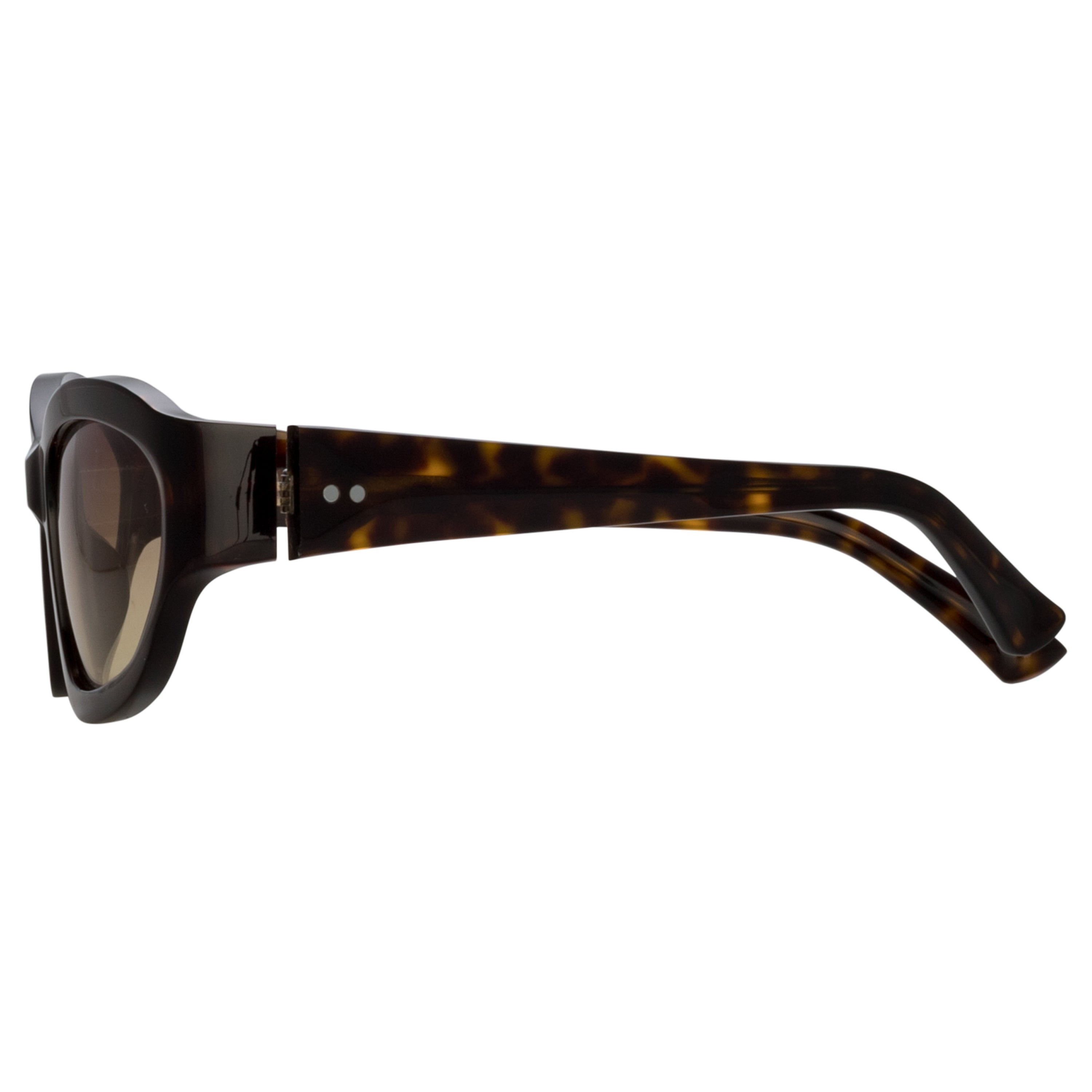 Wrap Sunglasses in Dark Tortoiseshell