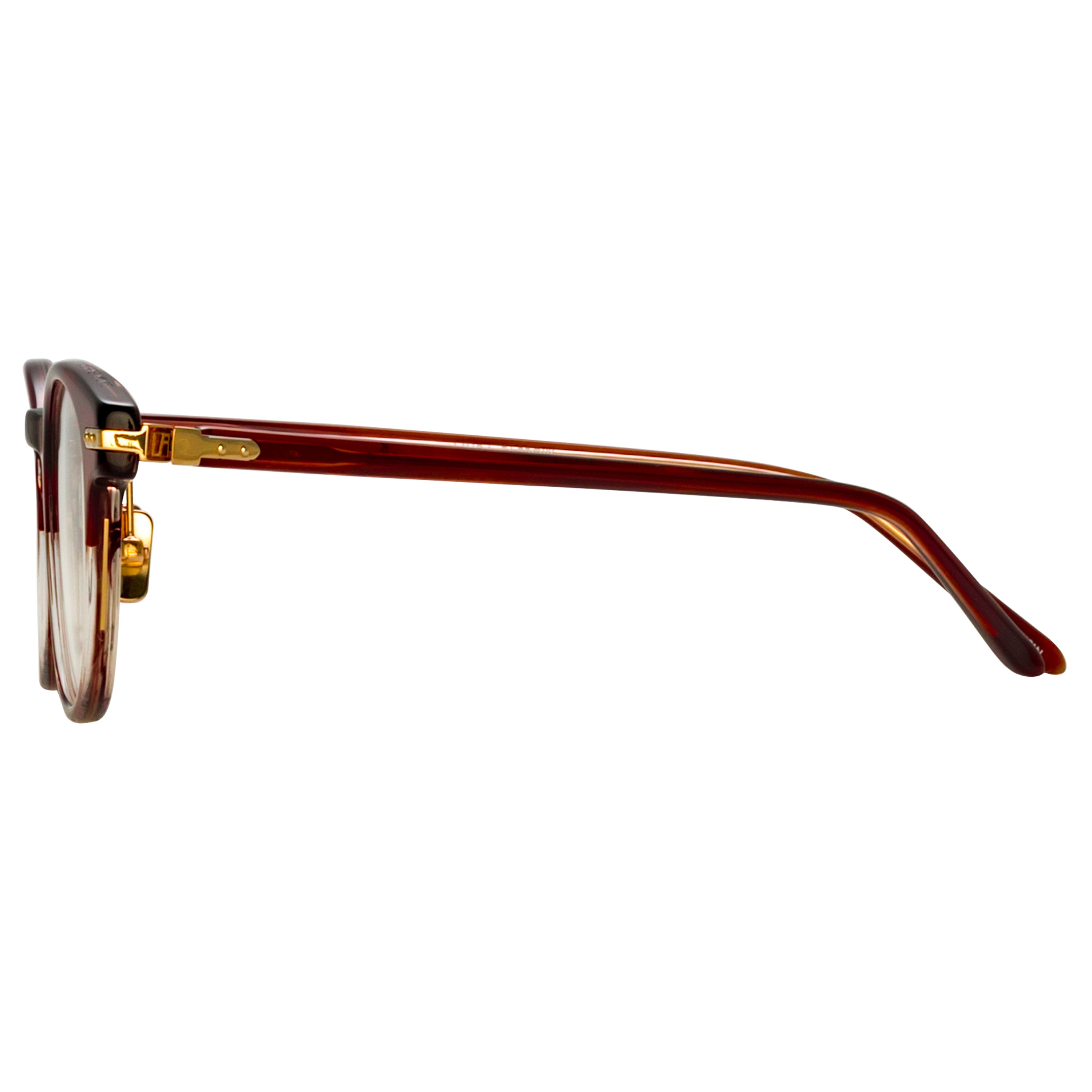 Bay Optical Frame in Caramel Horn