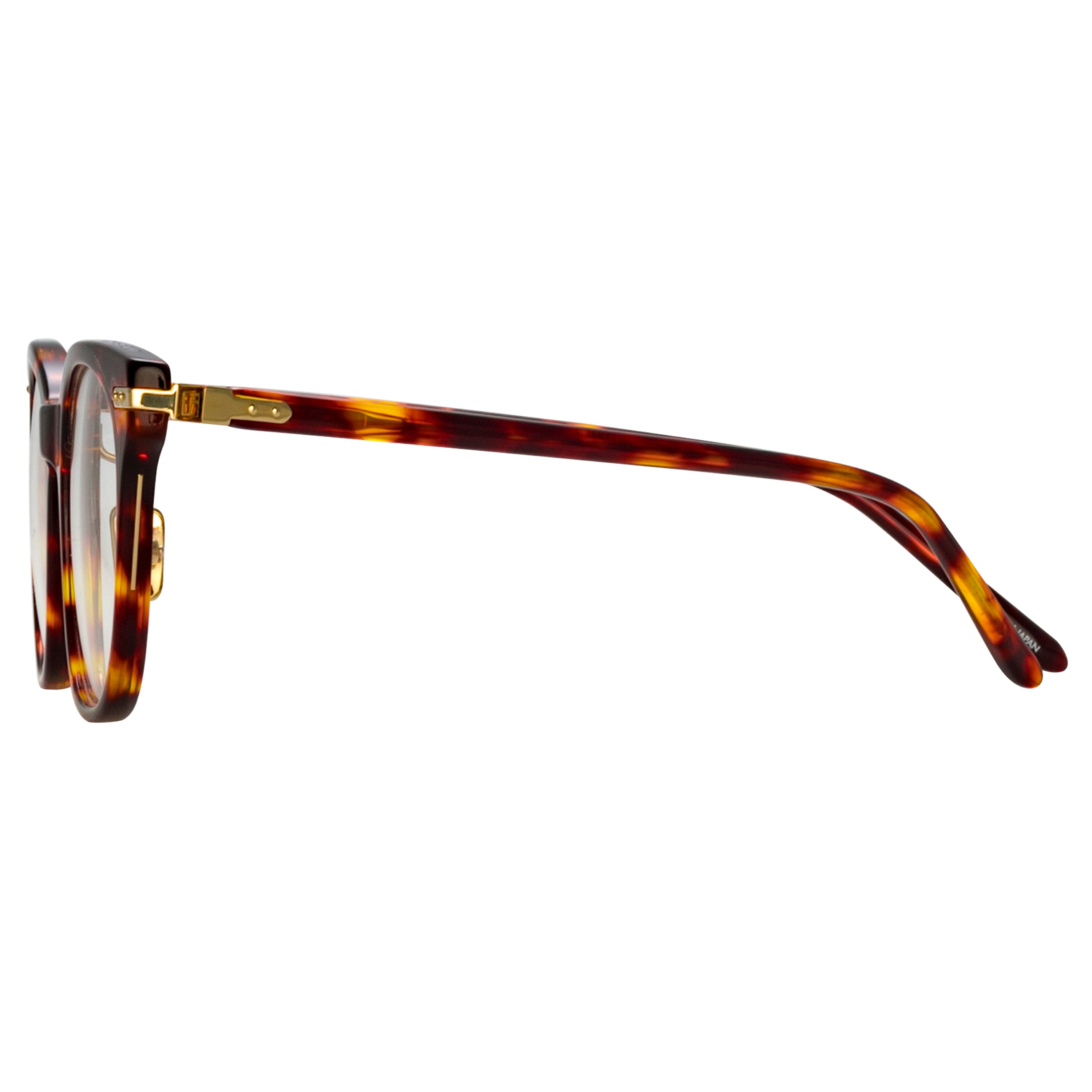 Arch Optical in Dark Tortoiseshell (Asian Fit)