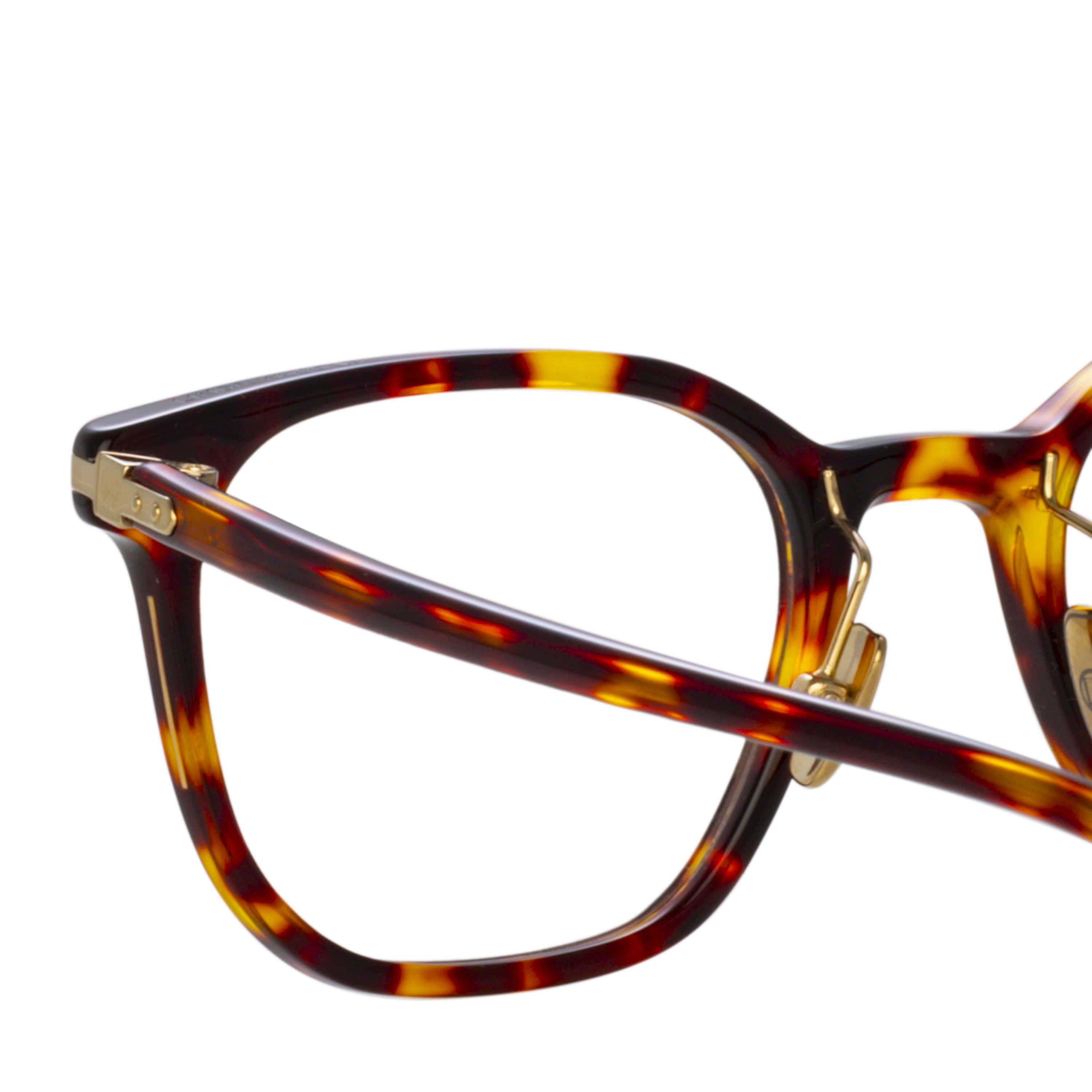 Men's Hopkin Optical in Dark Tortoiseshell (Asian Fit)