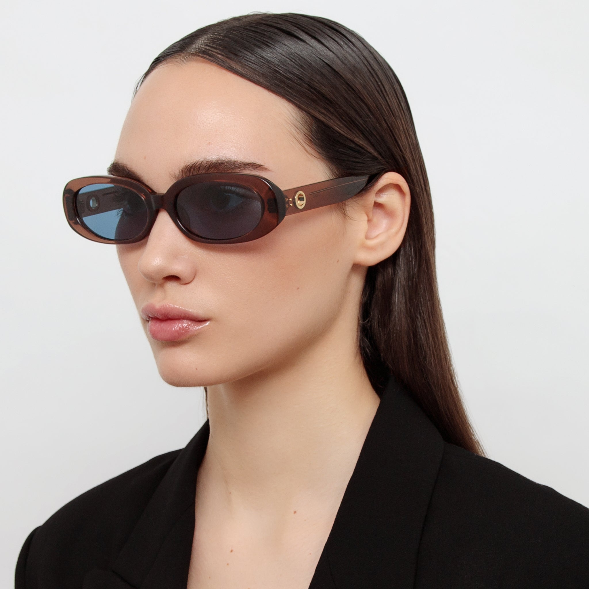 Cara Oval Sunglasses in Brown and Aqua