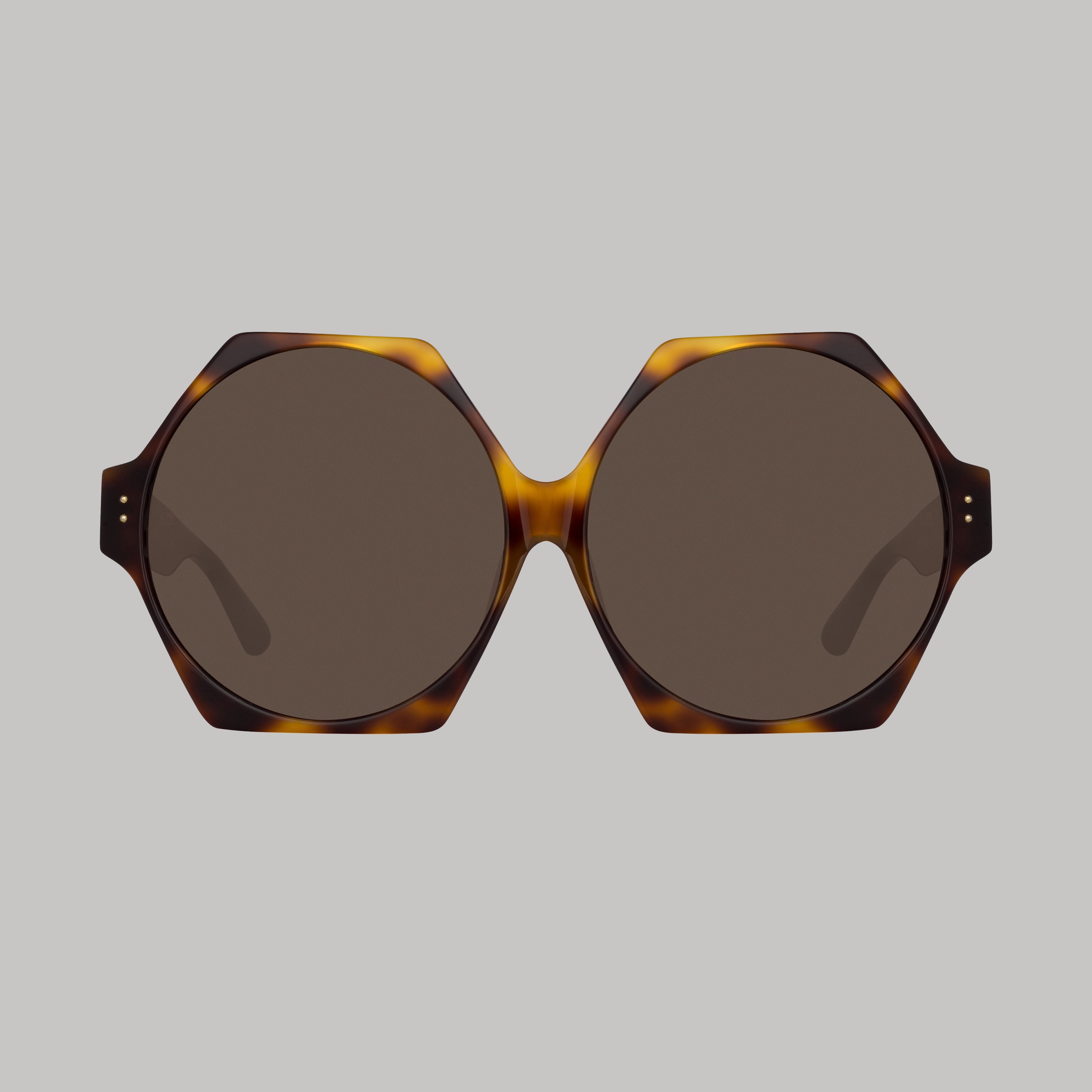 Bora Hexagon Sunglasses in Tortoiseshell