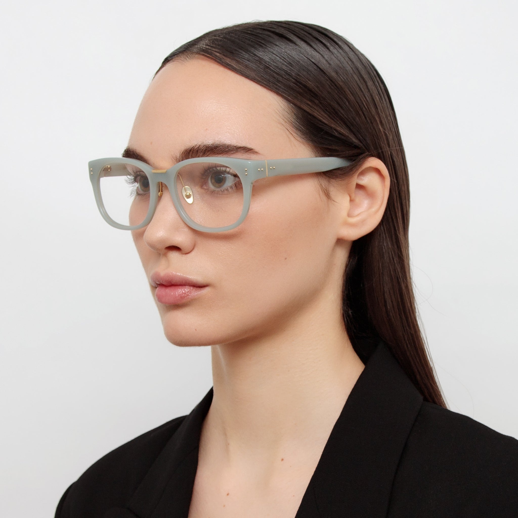 Cedric Optical Frames in Steel