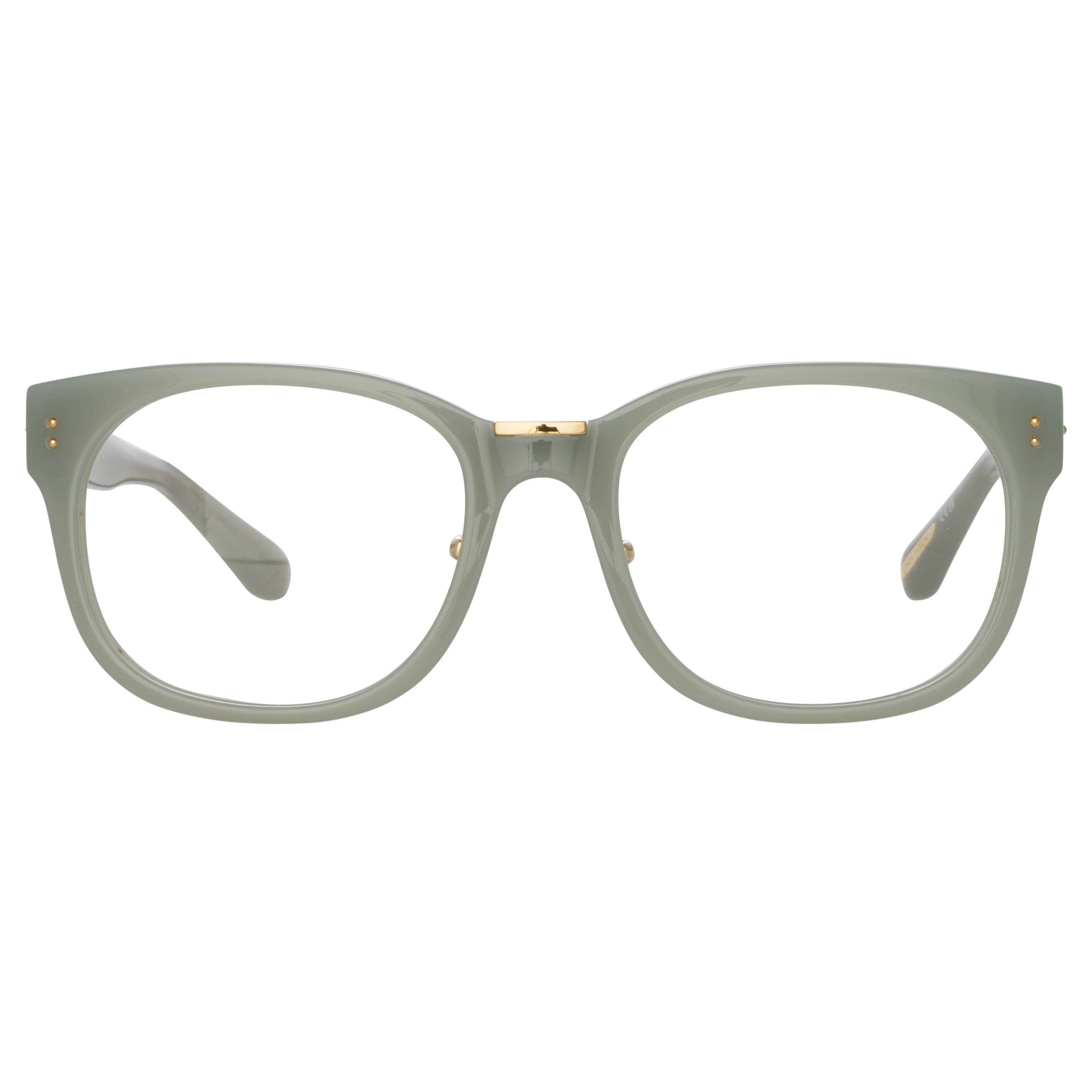 Cedric Optical Frames in Steel