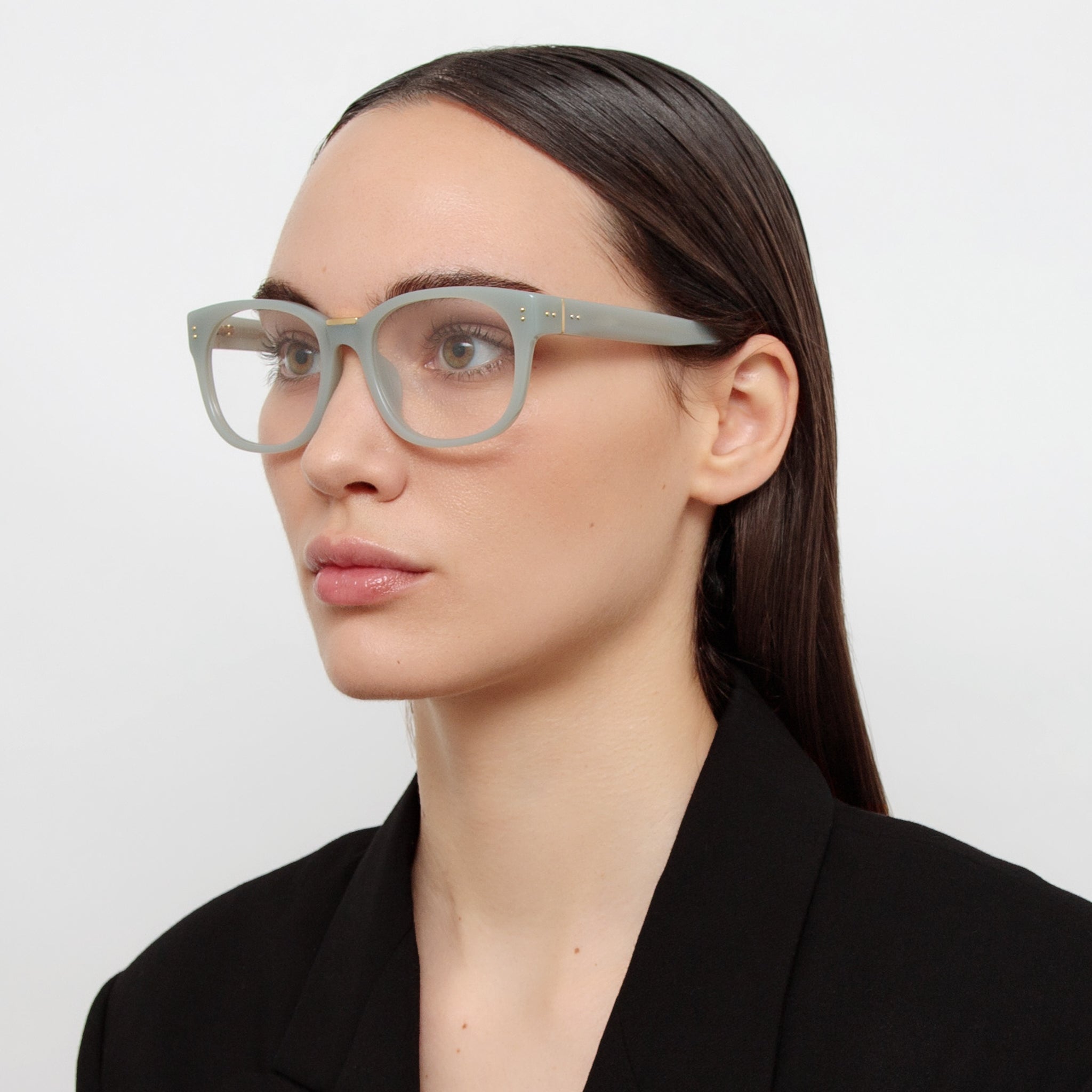 Cedric Optical Frames in Steel