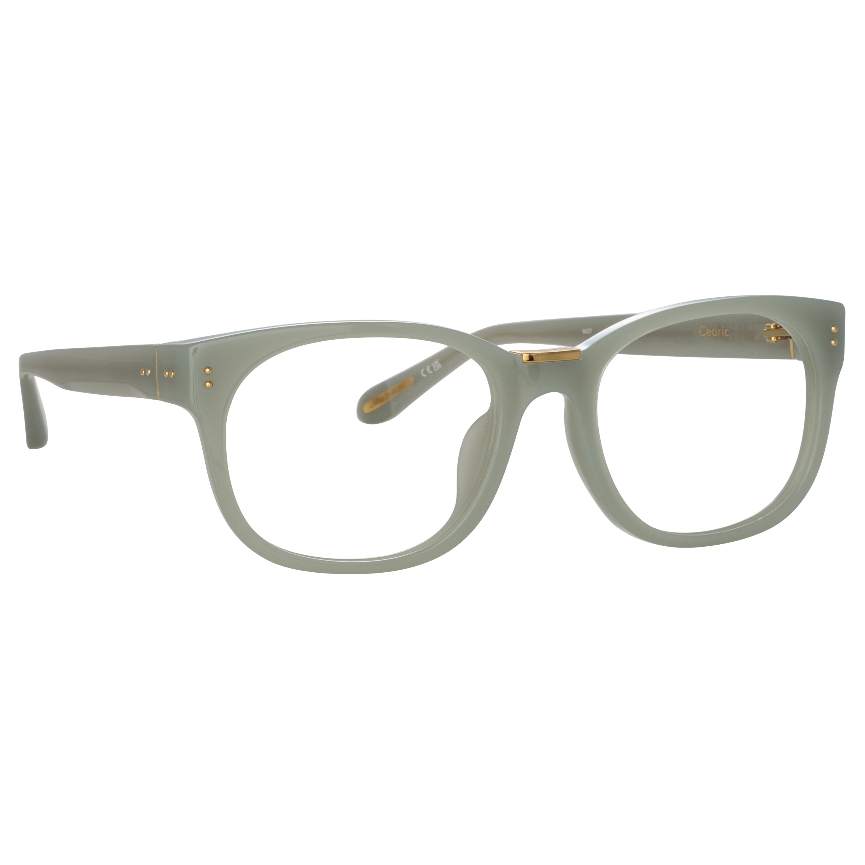 Cedric Optical Frames in Steel