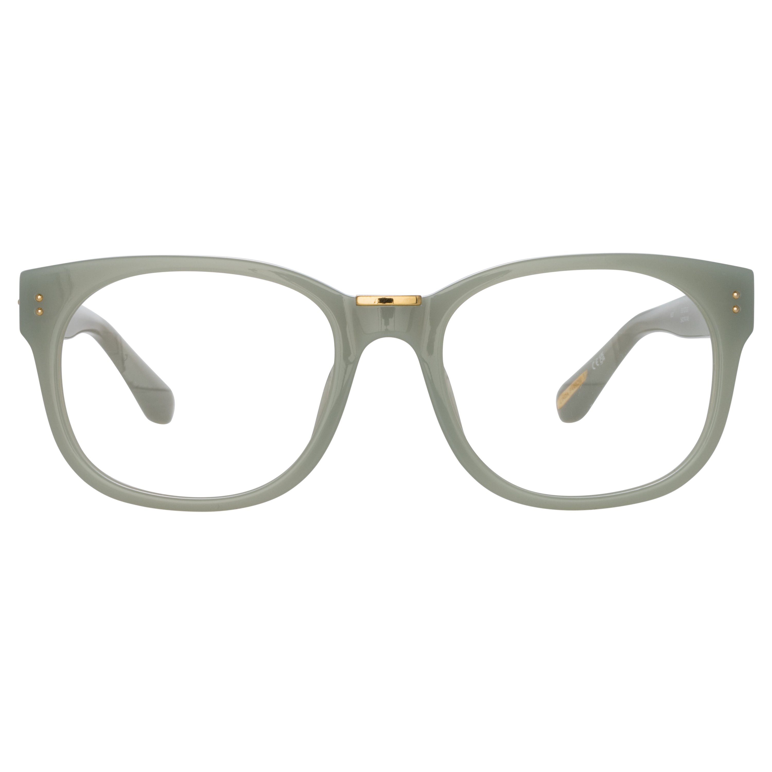 Cedric Optical Frames in Steel