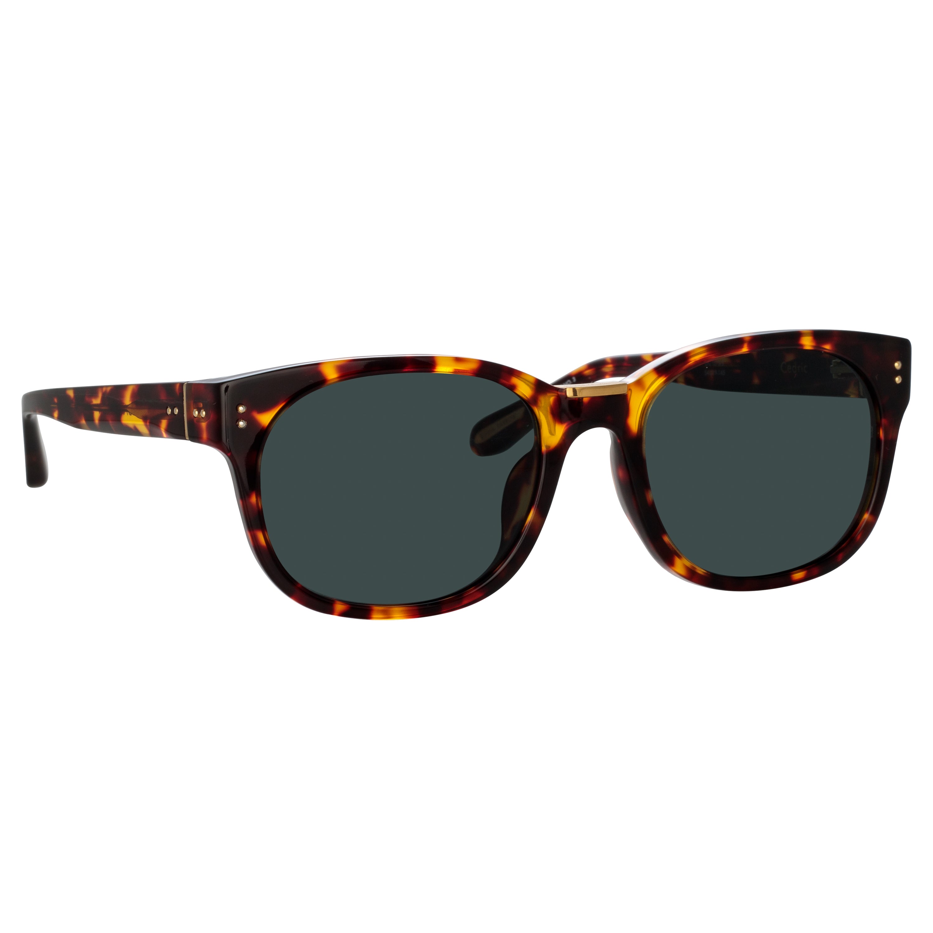 Cedric Sunglasses in Tortoiseshell