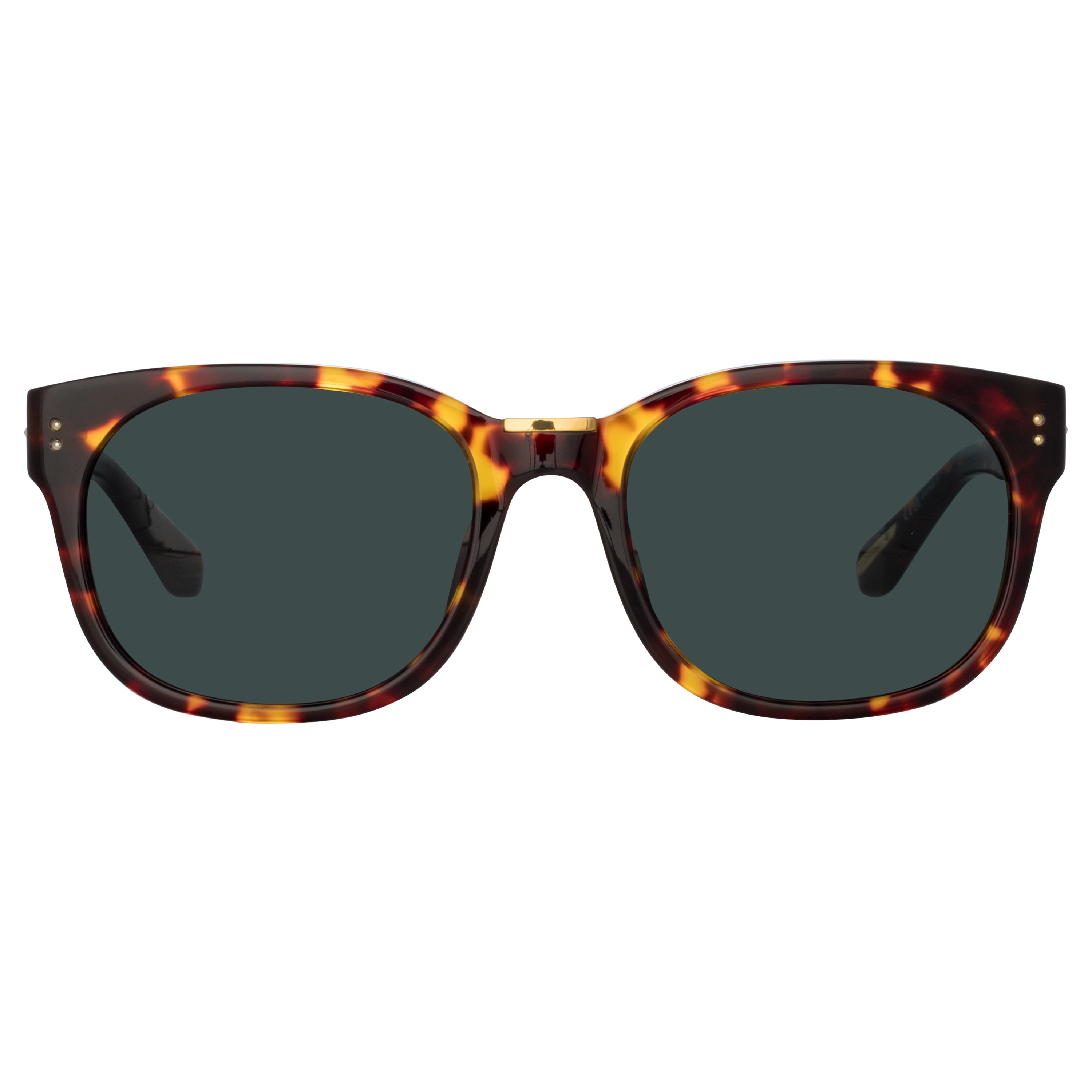 Cedric Sunglasses in Tortoiseshell