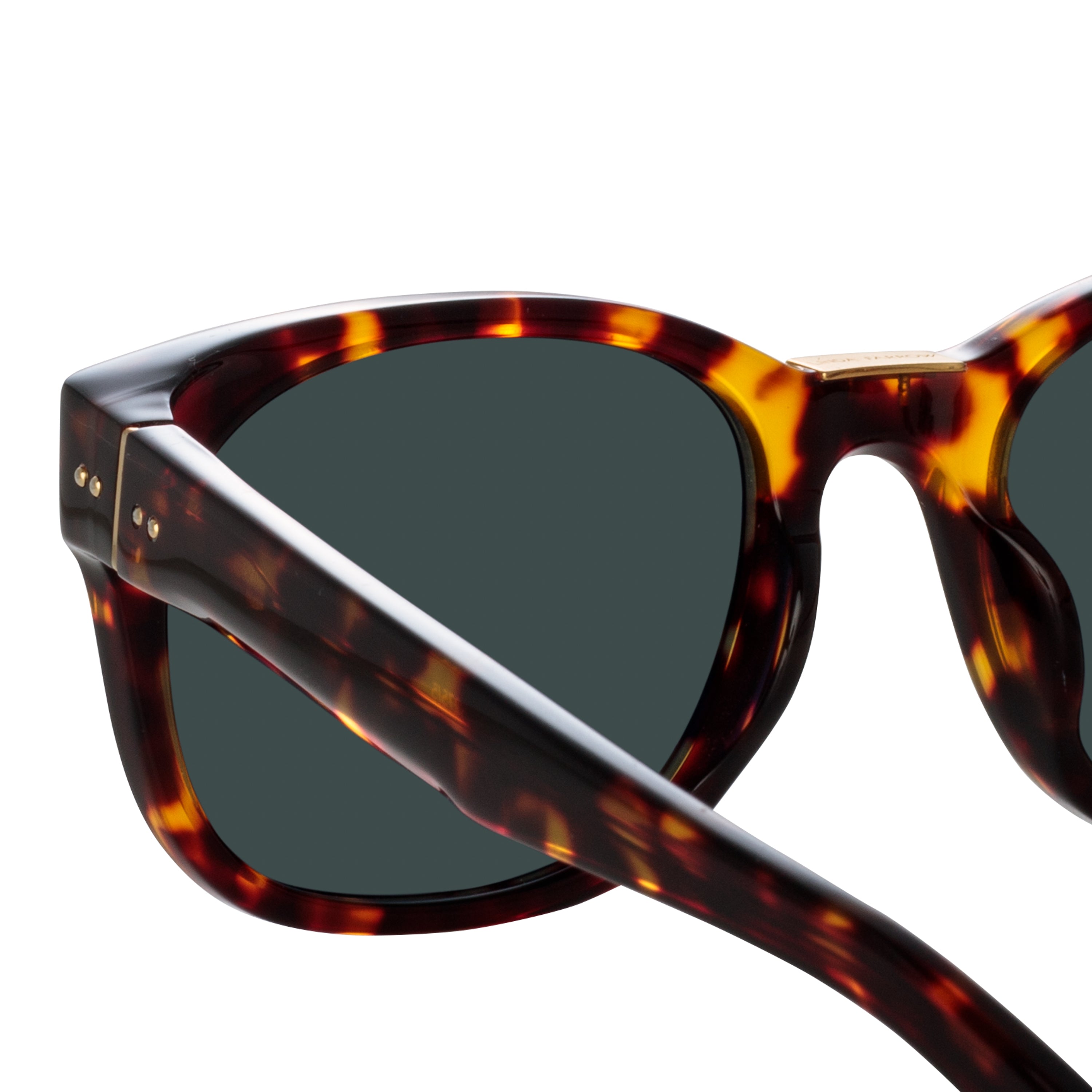 Cedric Sunglasses in Tortoiseshell