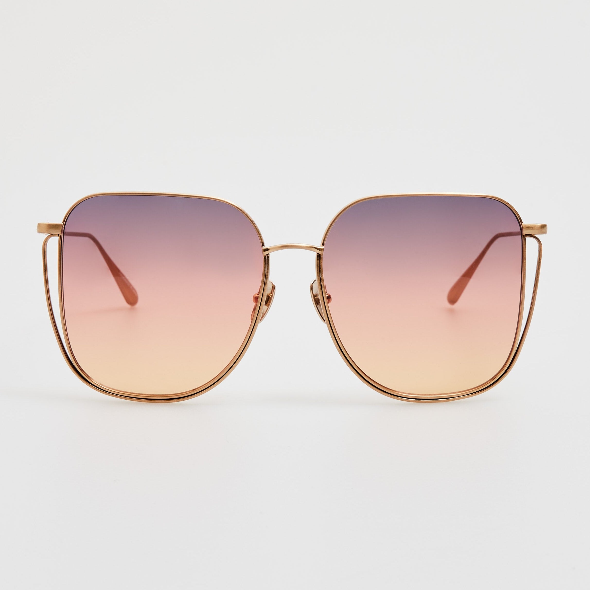 Camry Sunglasses in Matt Champagne