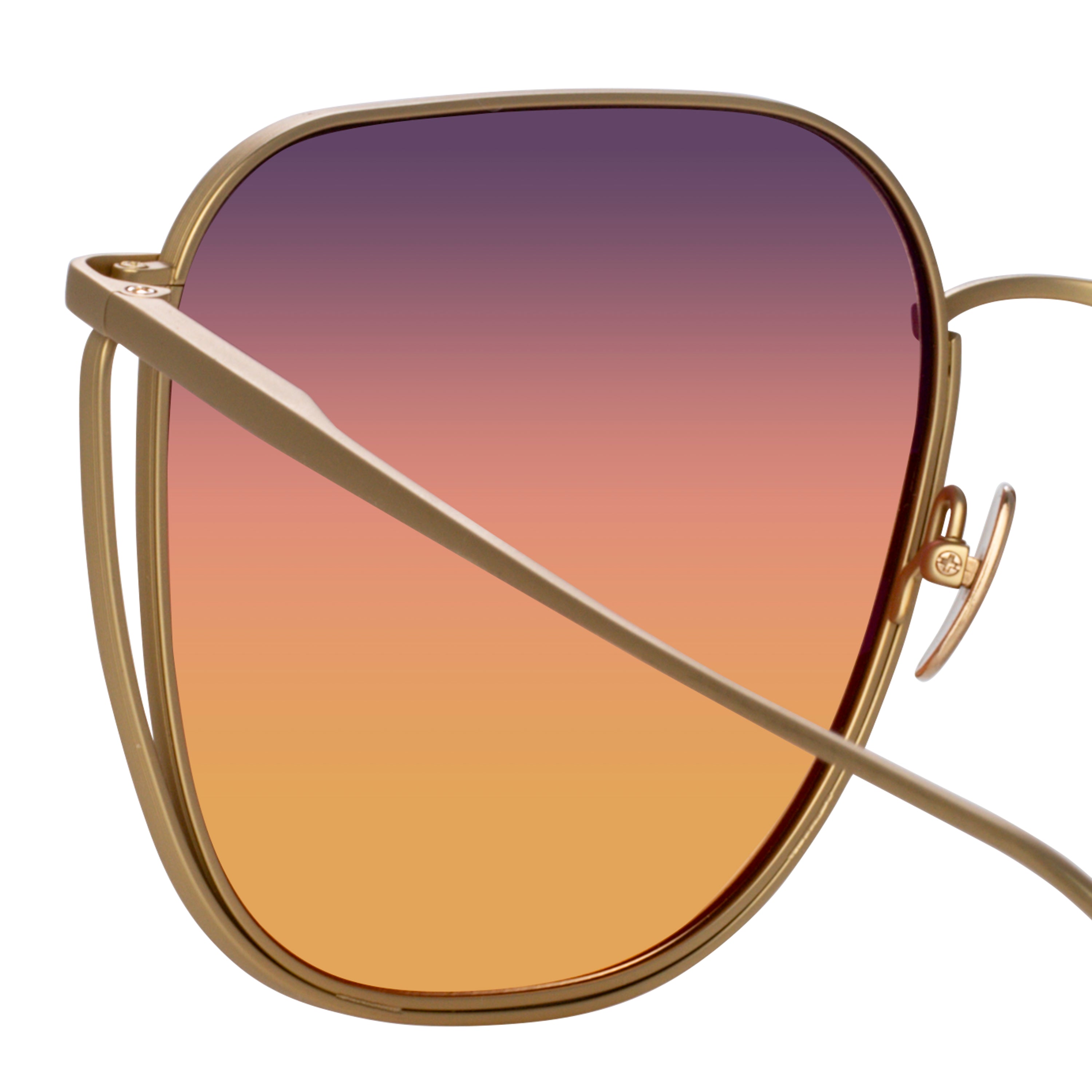 Camry Sunglasses in Matt Champagne