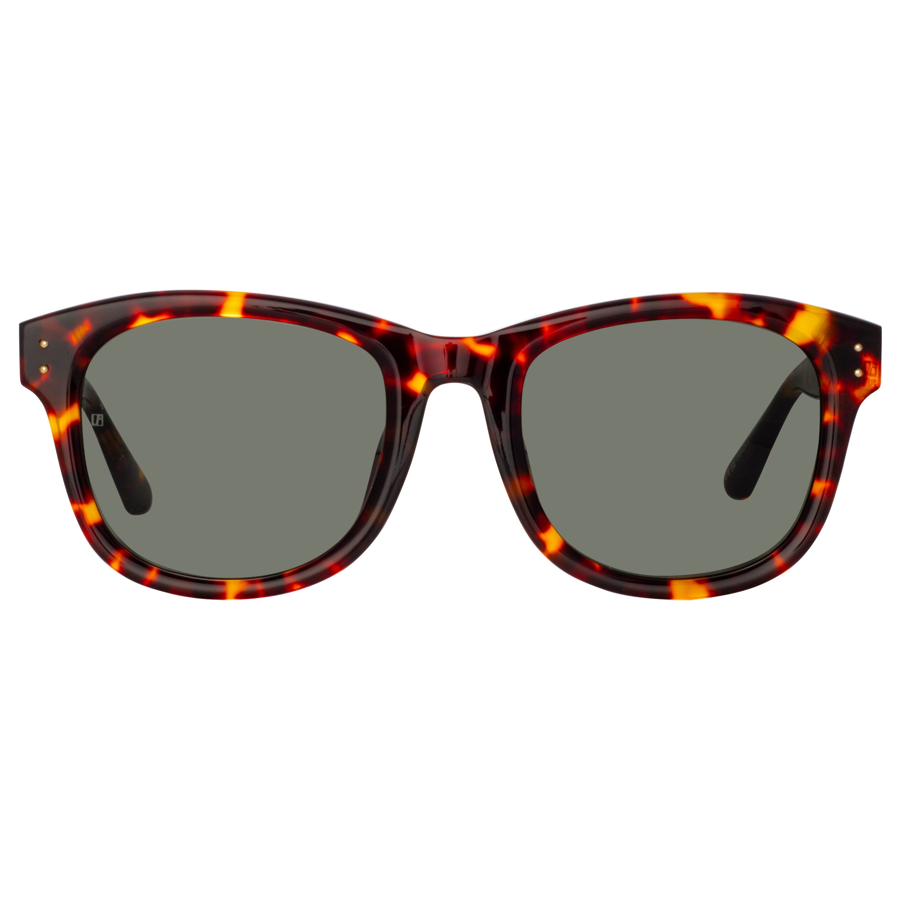 Men's Edson Sunglasses in Tortoiseshell