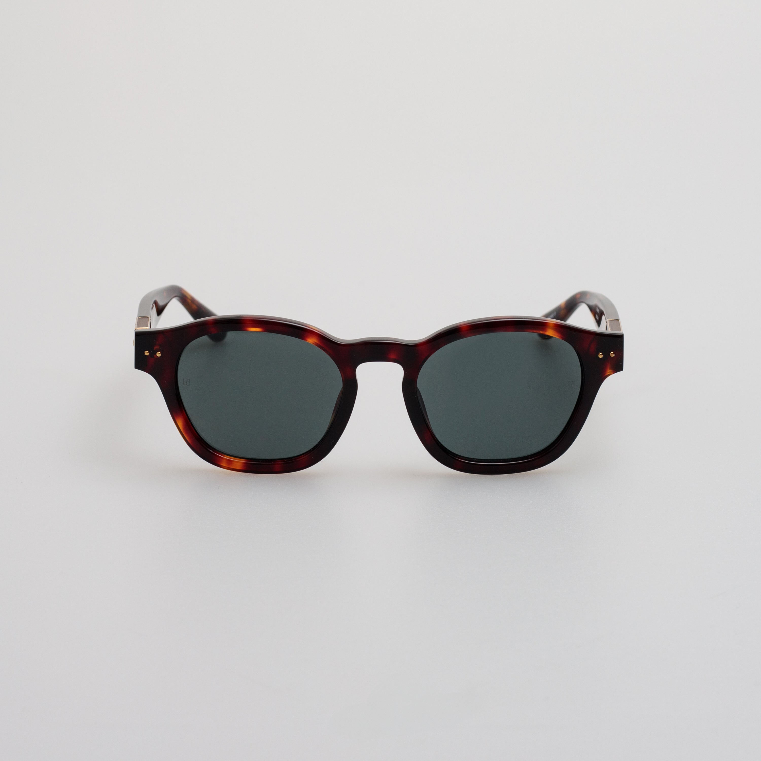 Talbot Sunglasses in Tortoiseshell