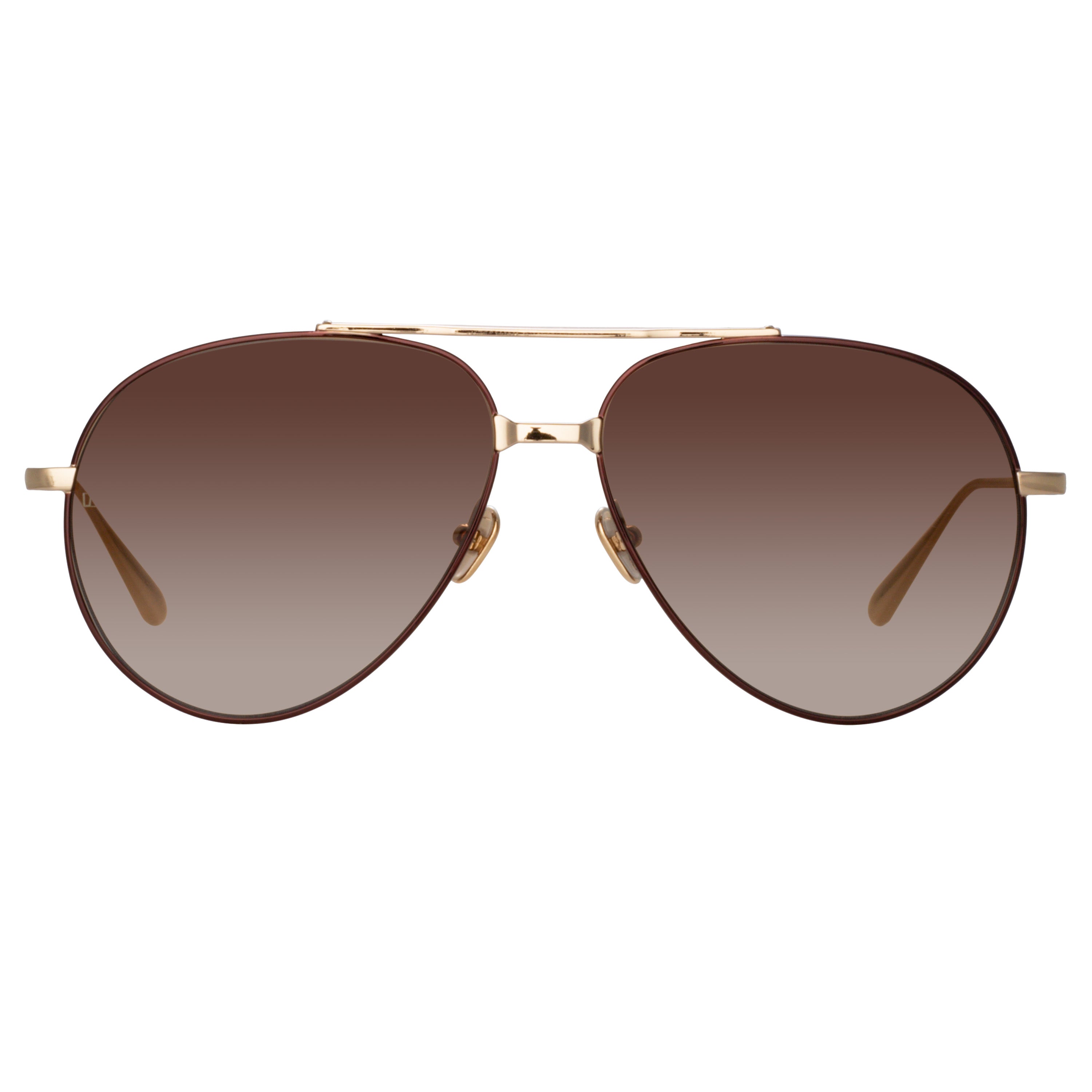 Men's Marcelo Sunglasses in Brown