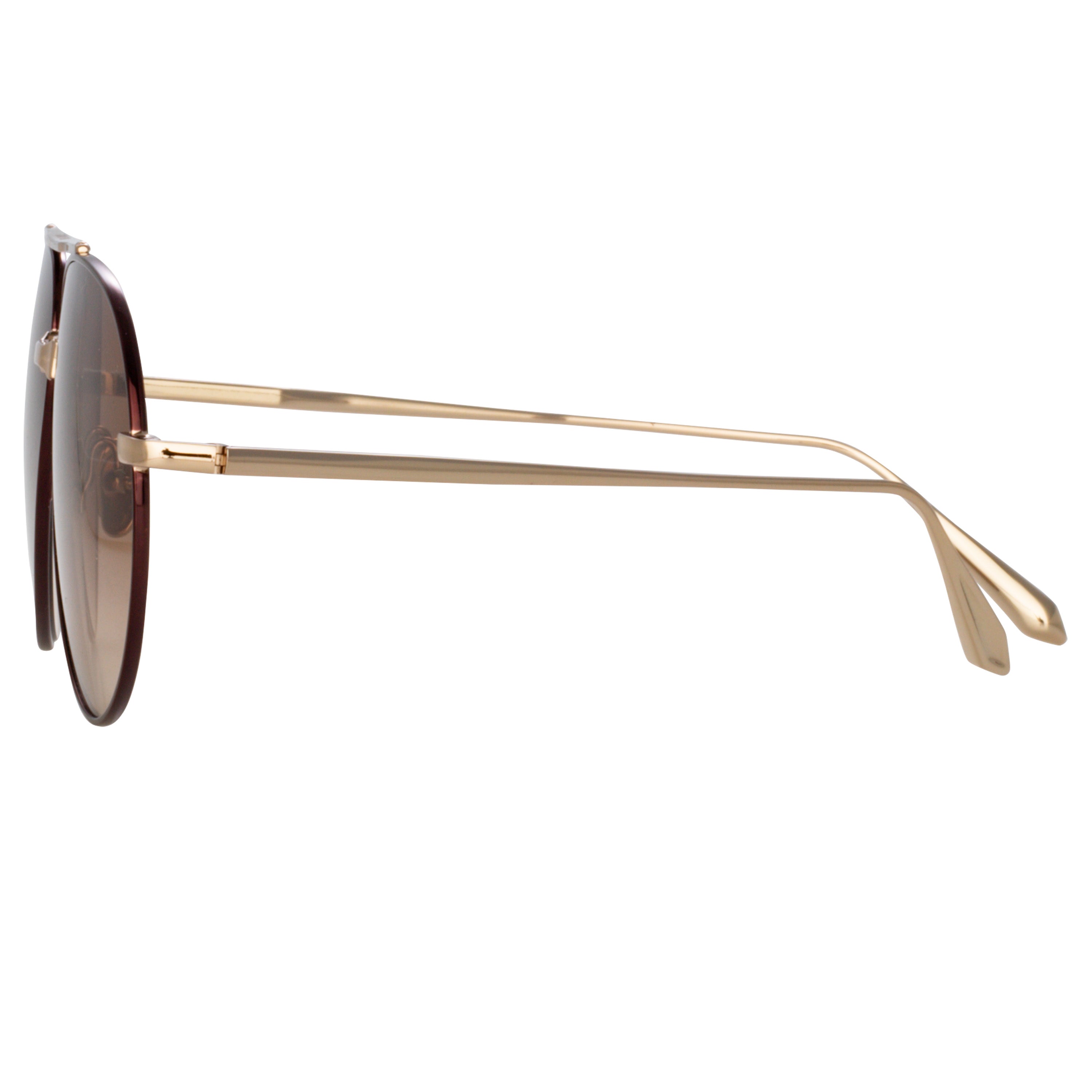 Men's Marcelo Sunglasses in Brown