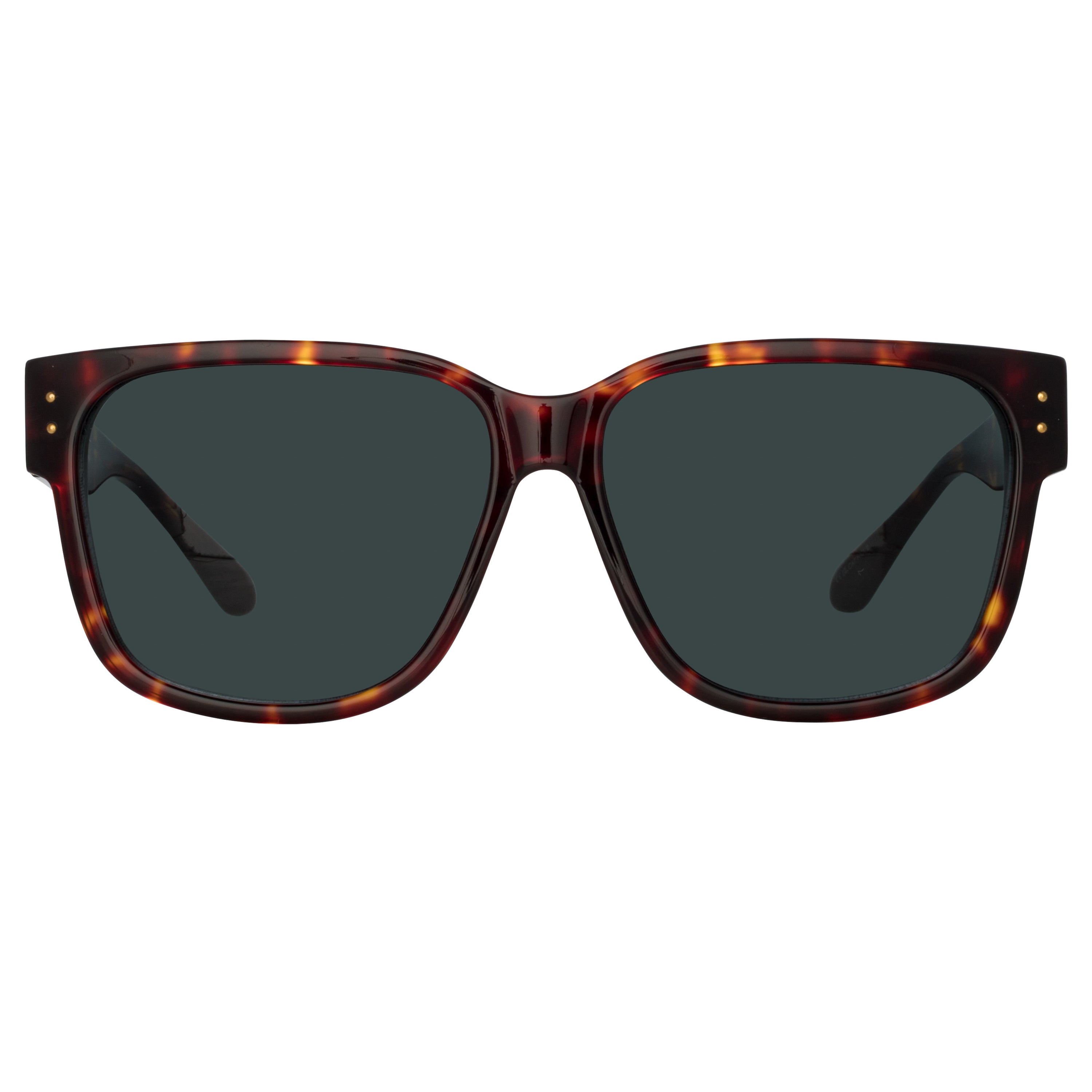 Perry Sunglasses in Tortoiseshell