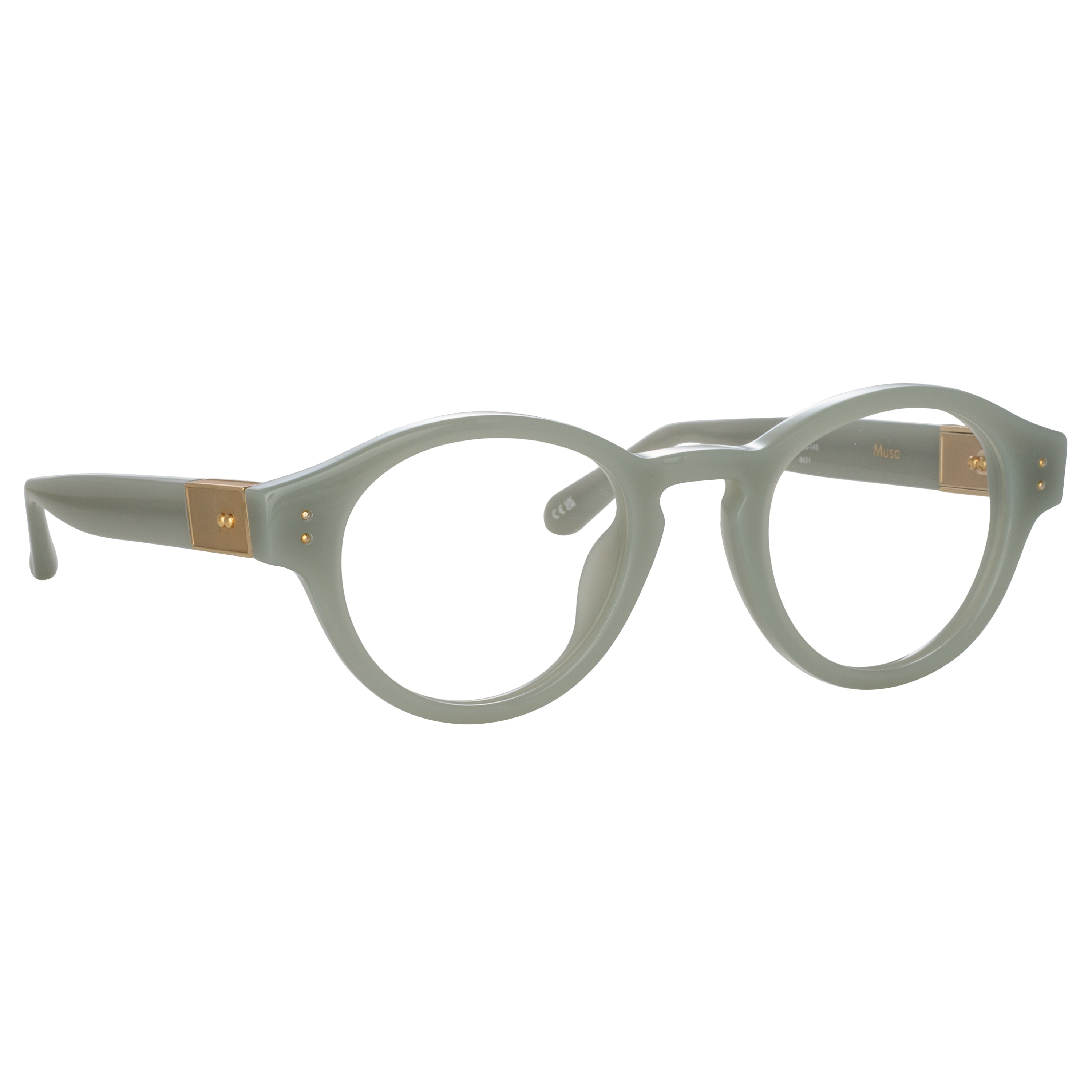 Musa Optical Frame in Steel