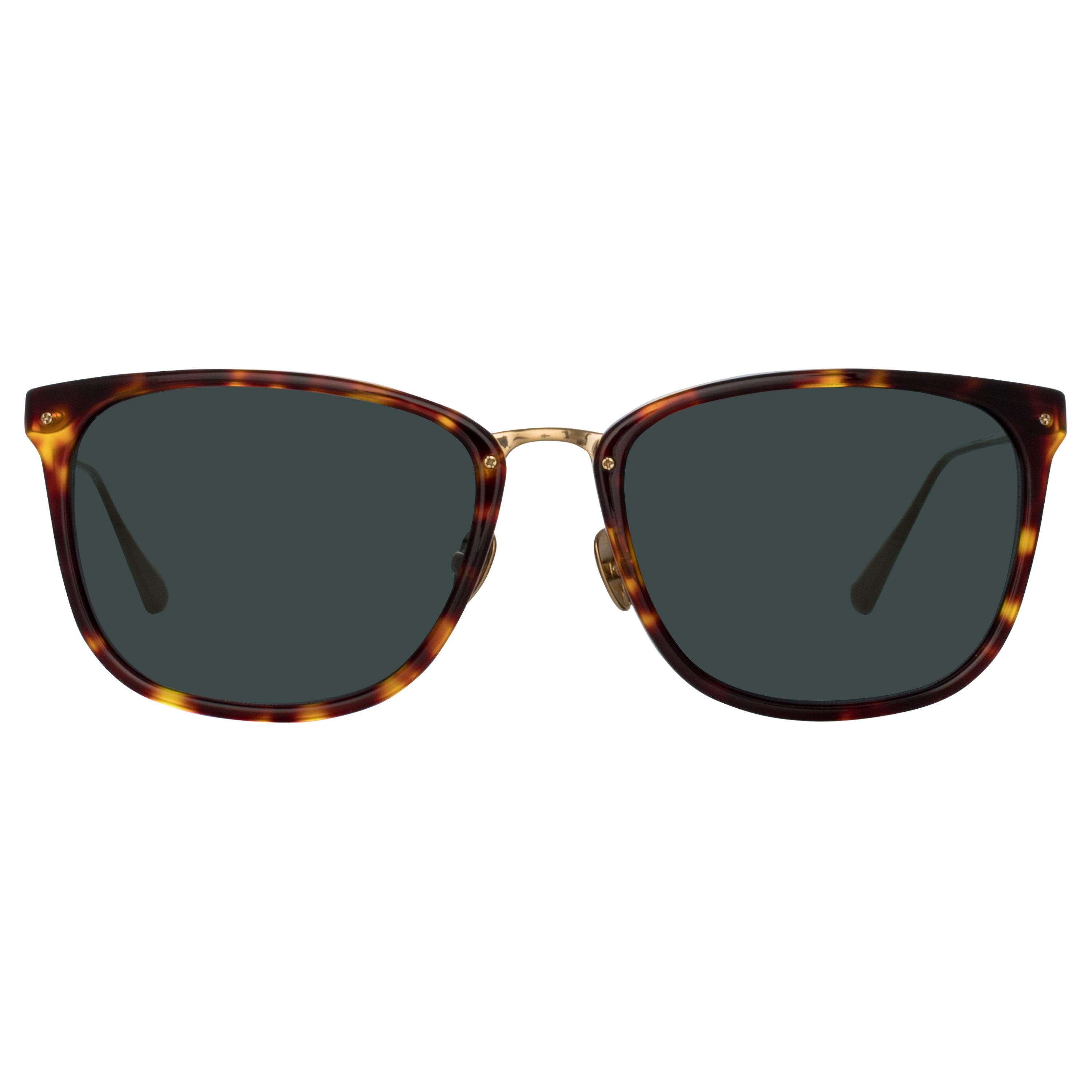 Men's Cassin Sunglasses in Tortoiseshell