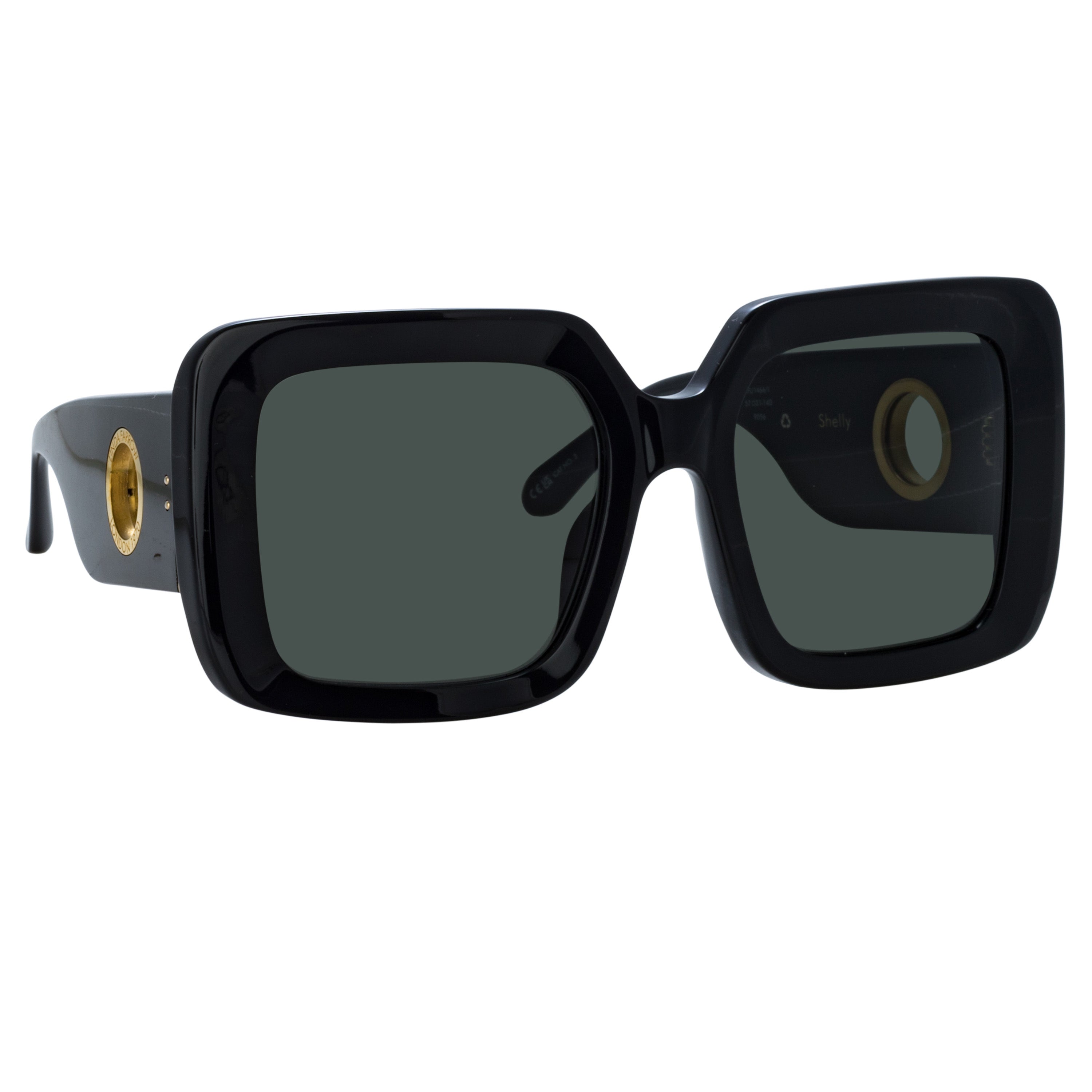 Shelly Oversize Sunglasses in Black