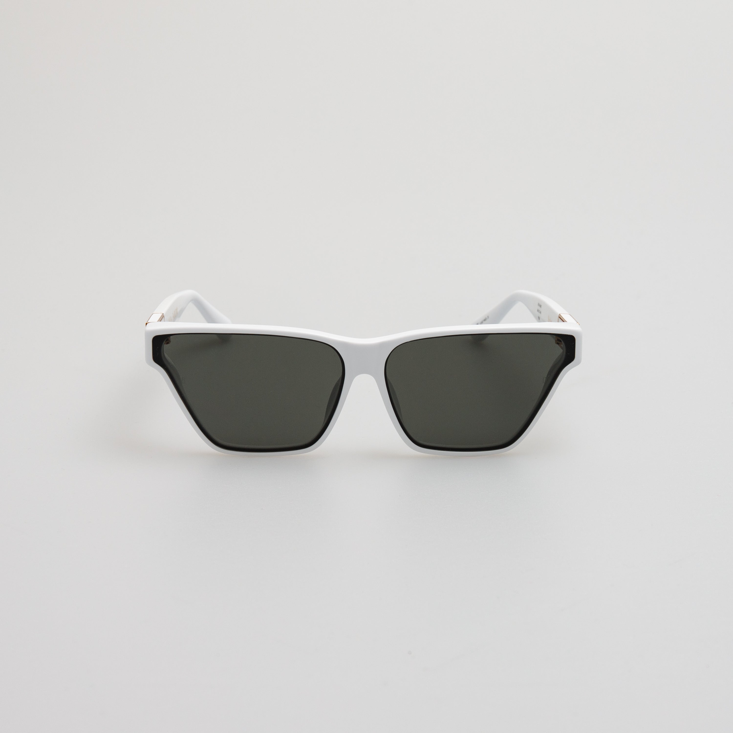 Skyler Cat-Eye Sunglasses in White