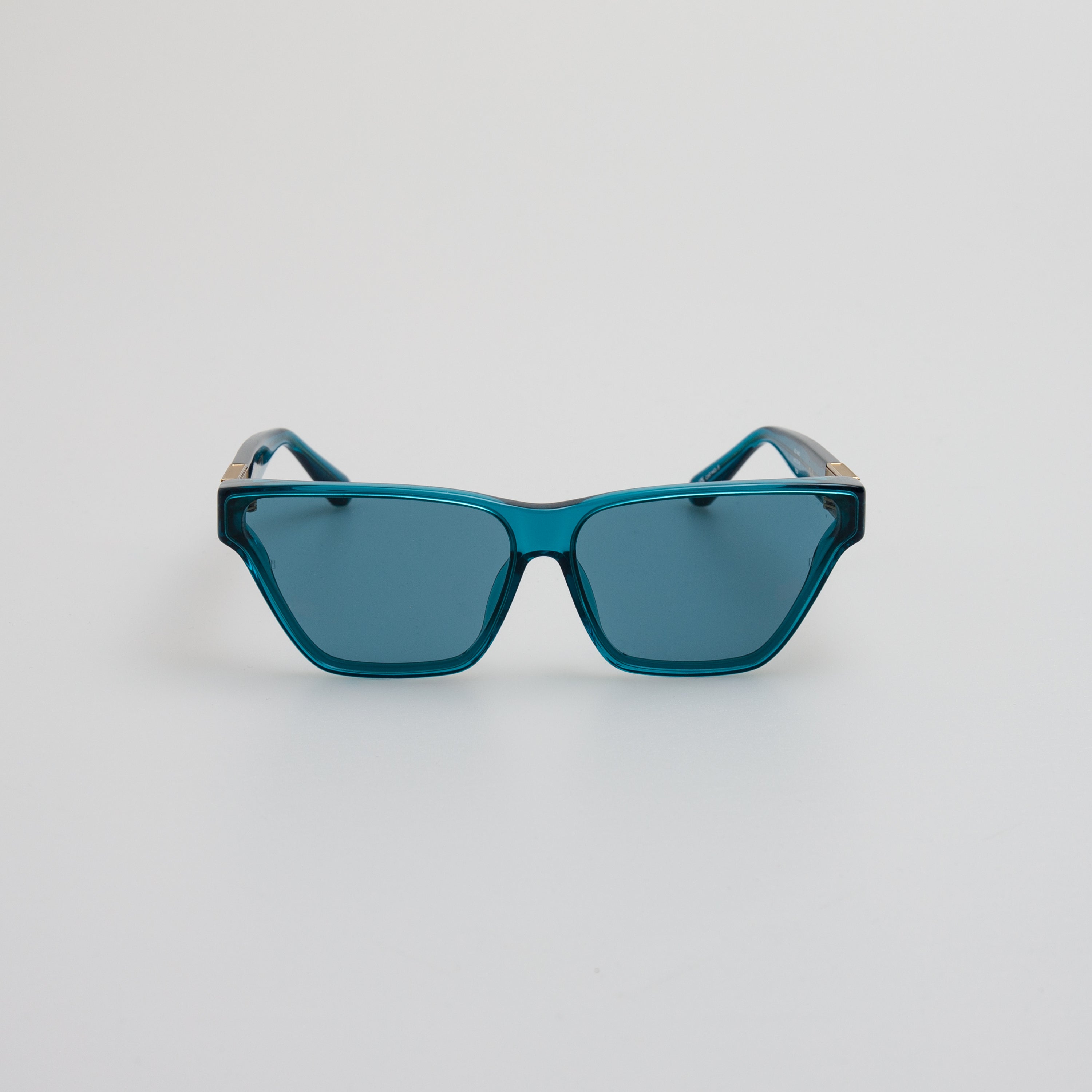 Skyler Cat-Eye Sunglasses in Aqua