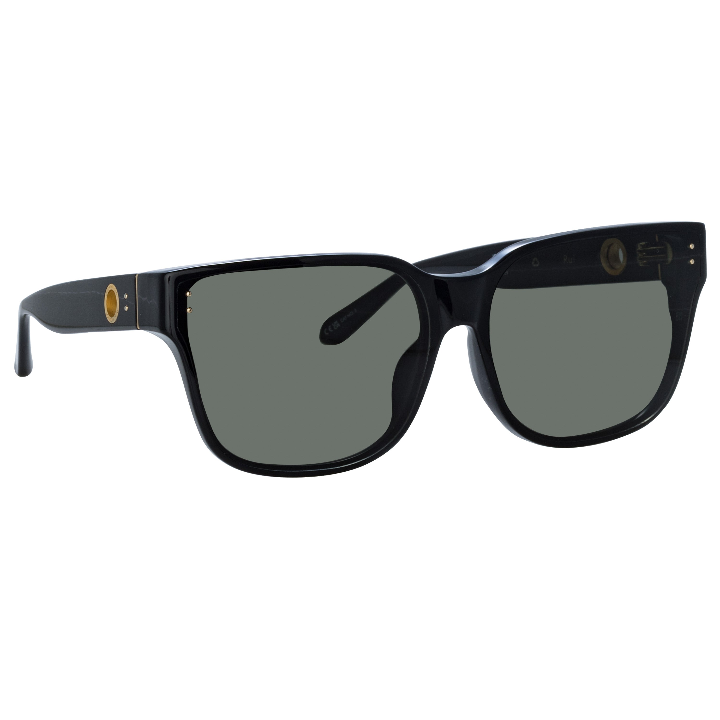 Rui Oversize Sunglasses in Black