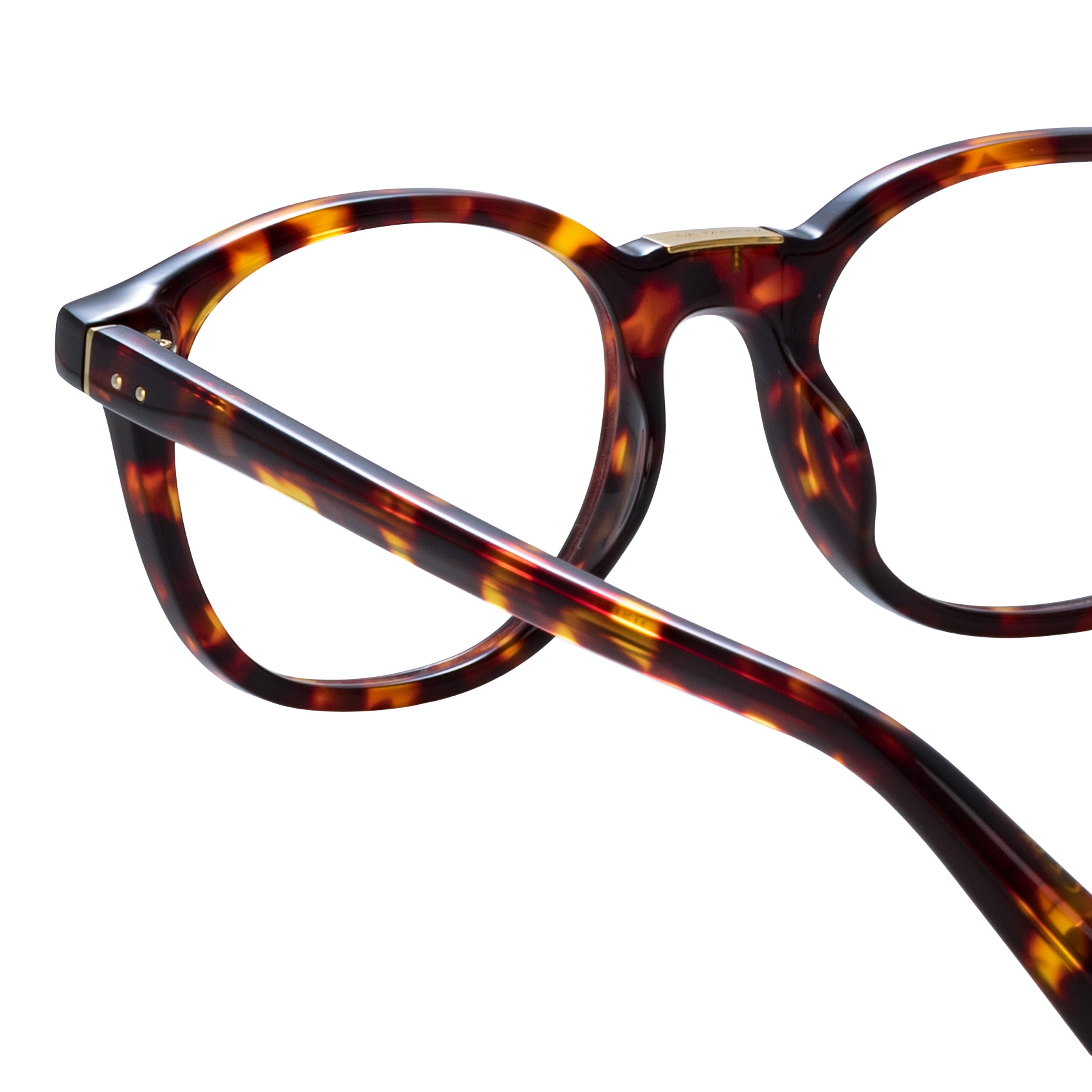 Powell Optical in Tortoiseshell