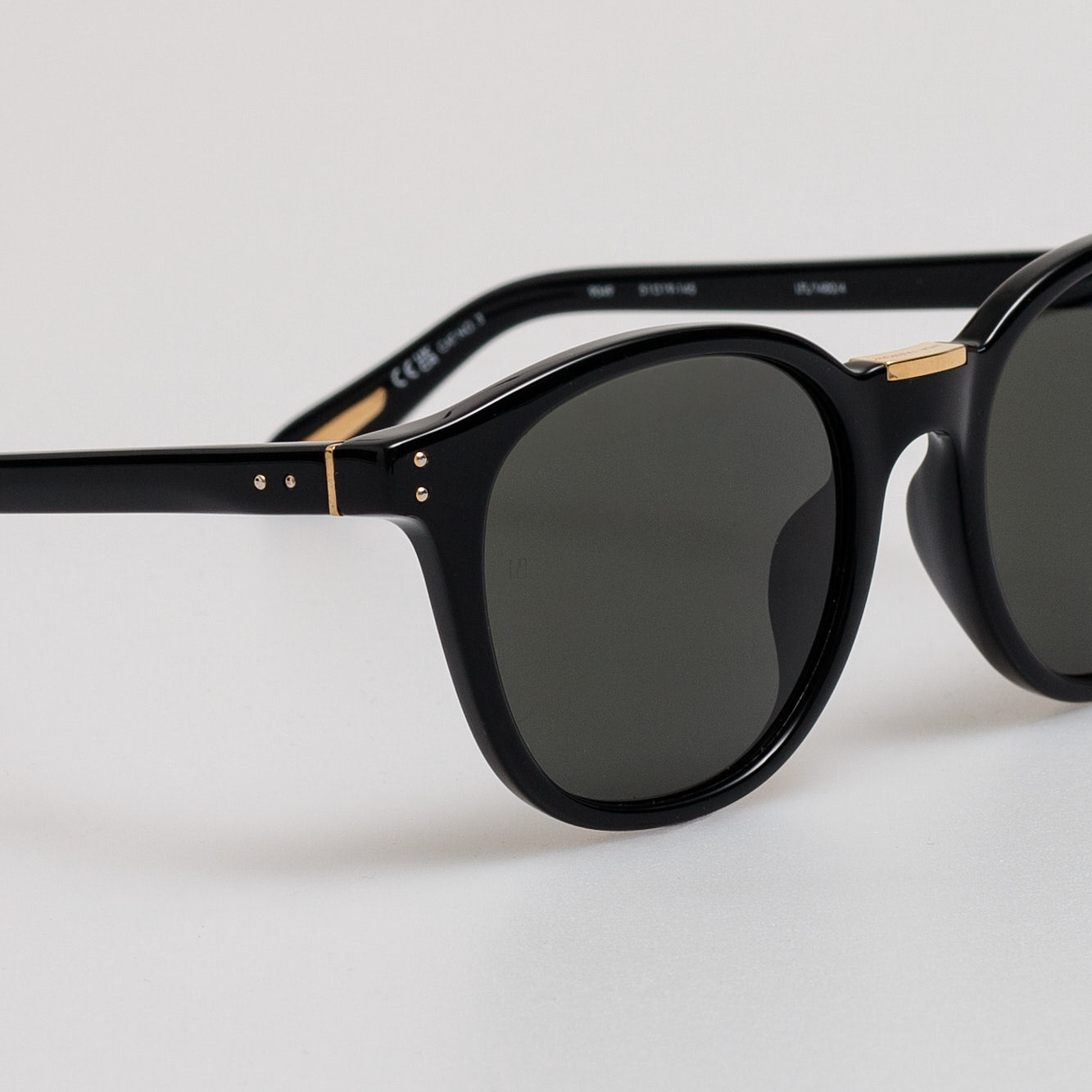 Men's Powell Sunglasses in Black