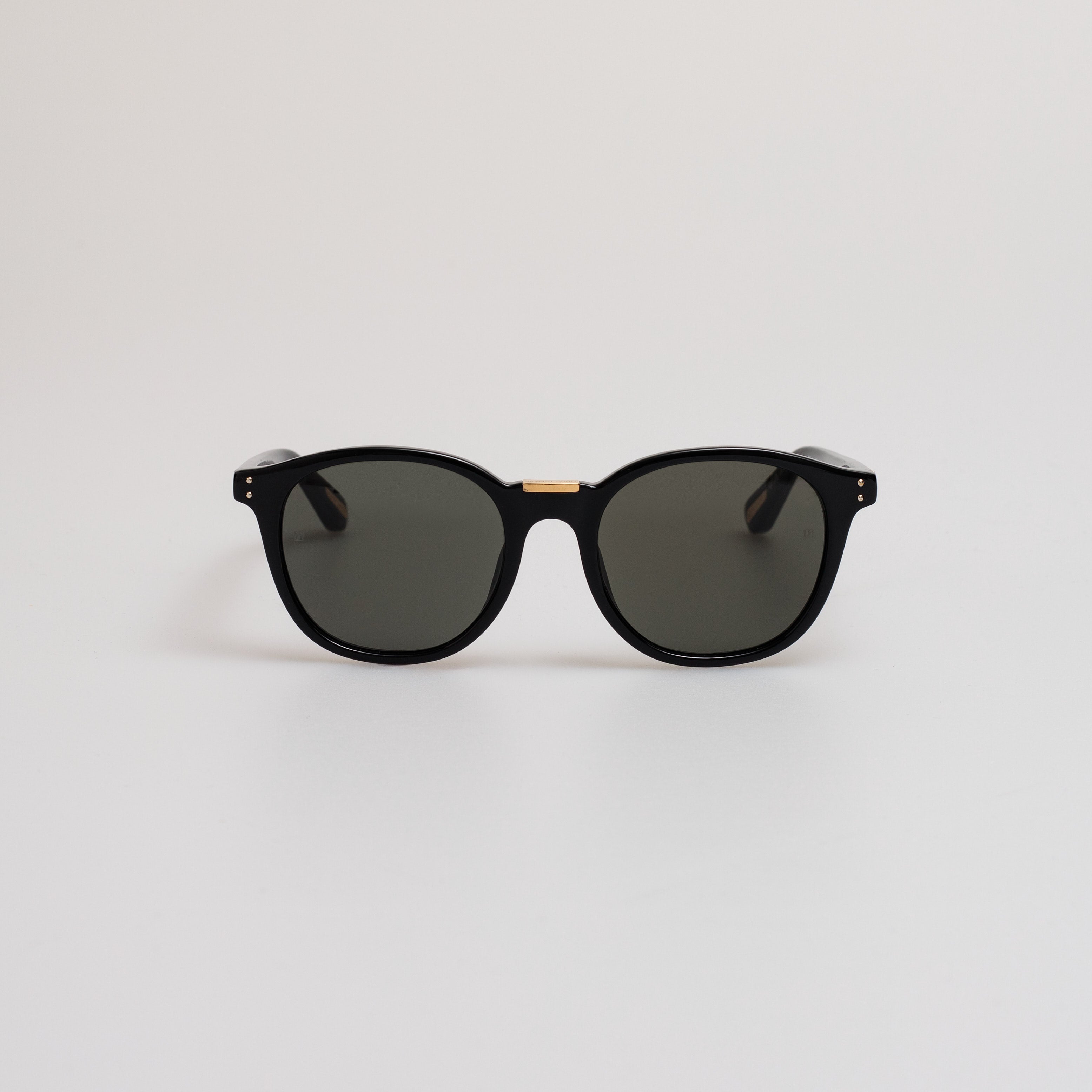 Men's Powell Sunglasses in Black