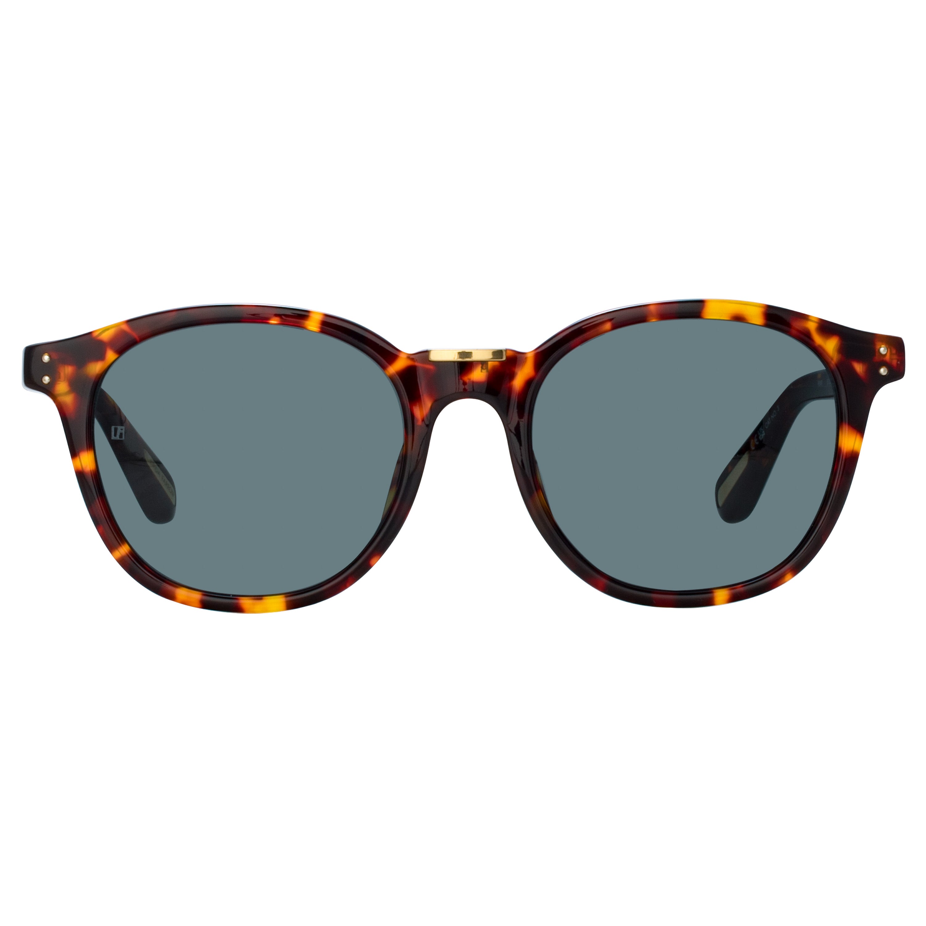 Powell Sunglasses in Tortoiseshell