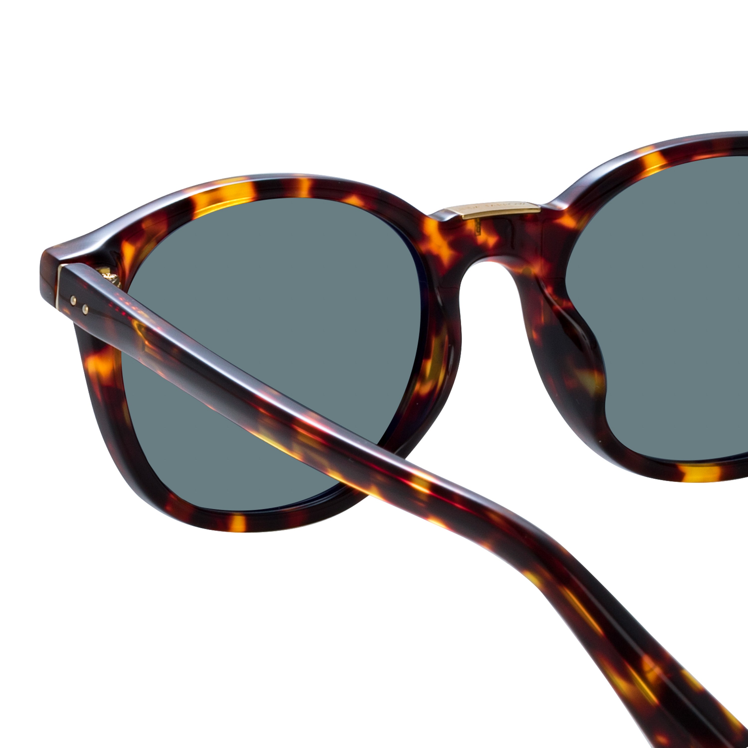 Powell Sunglasses in Tortoiseshell