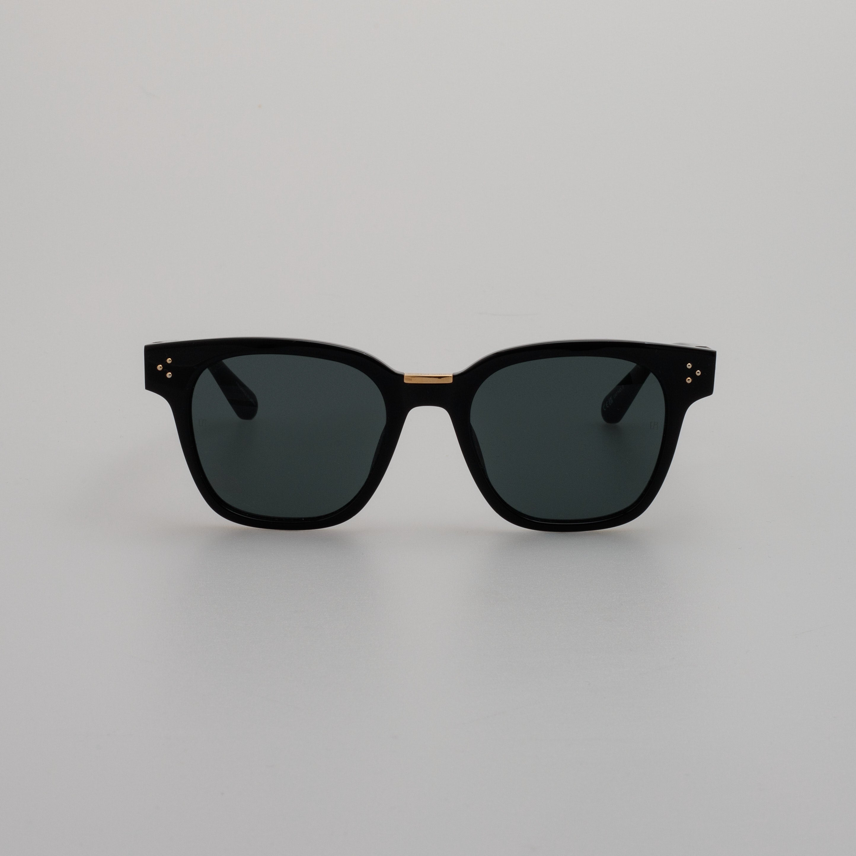 Men's Sanchez Sunglasses in Black