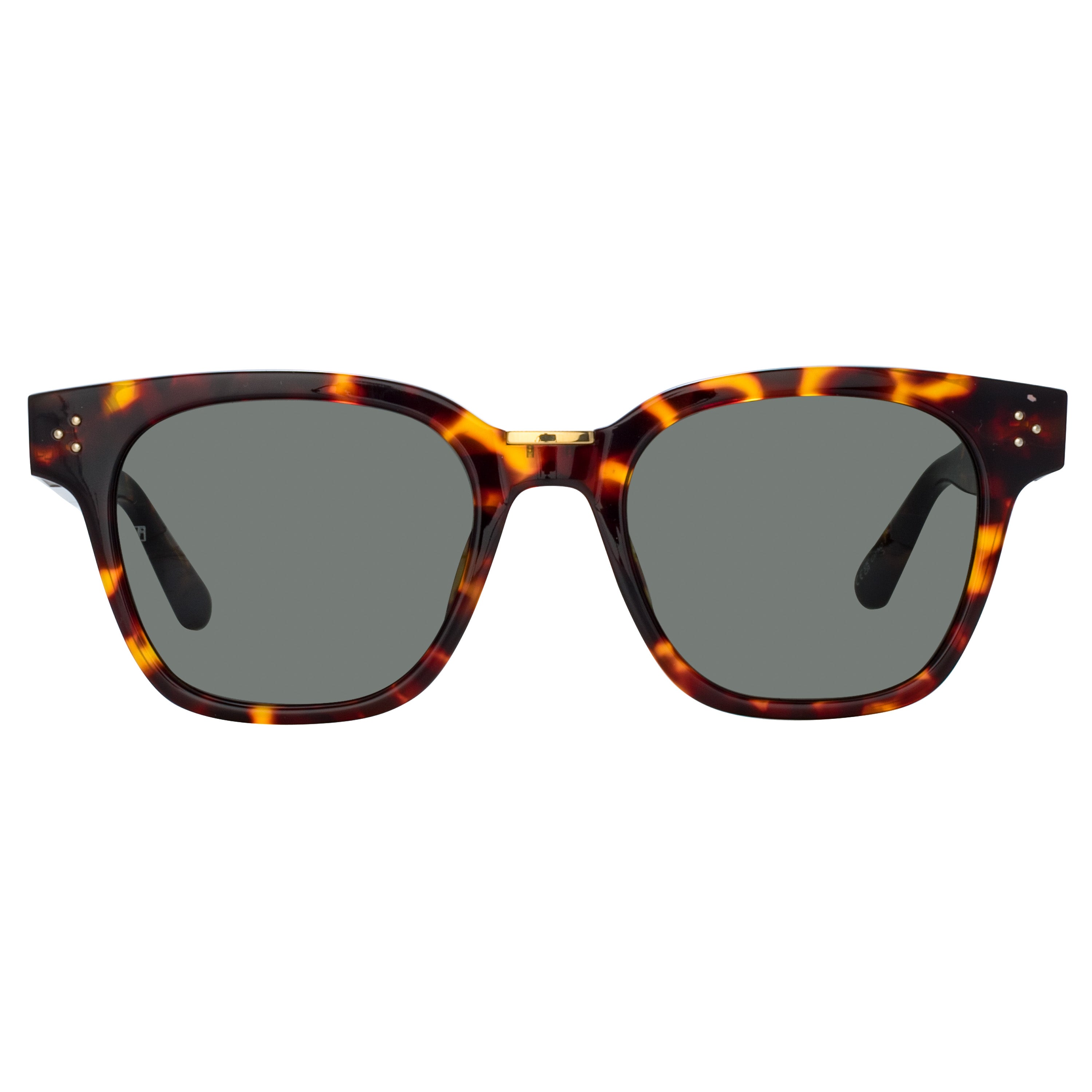 Sanchez Sunglasses in Tortoiseshell