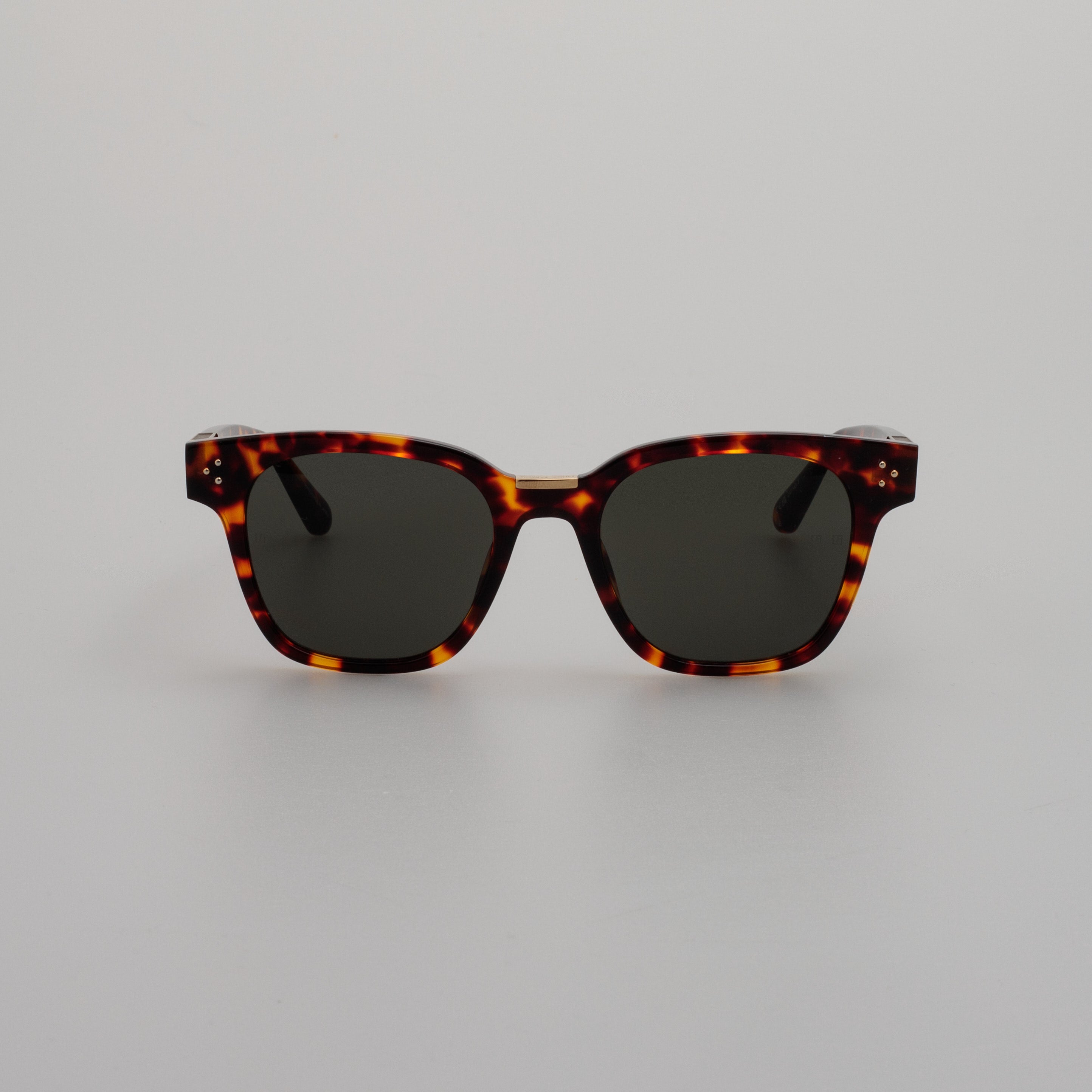 Sanchez Sunglasses in Tortoiseshell